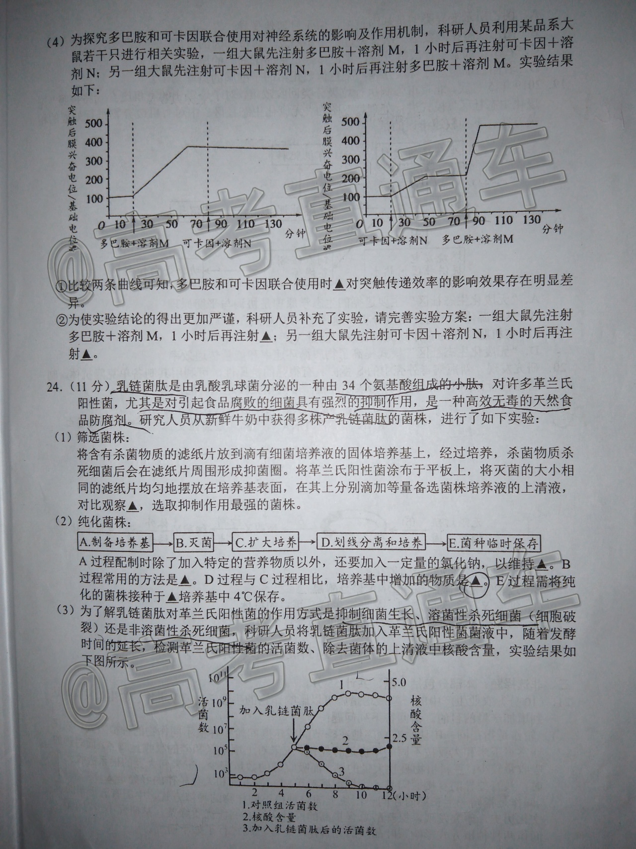 2021扬州高三适应性练习生物试题及参考答案 第8页