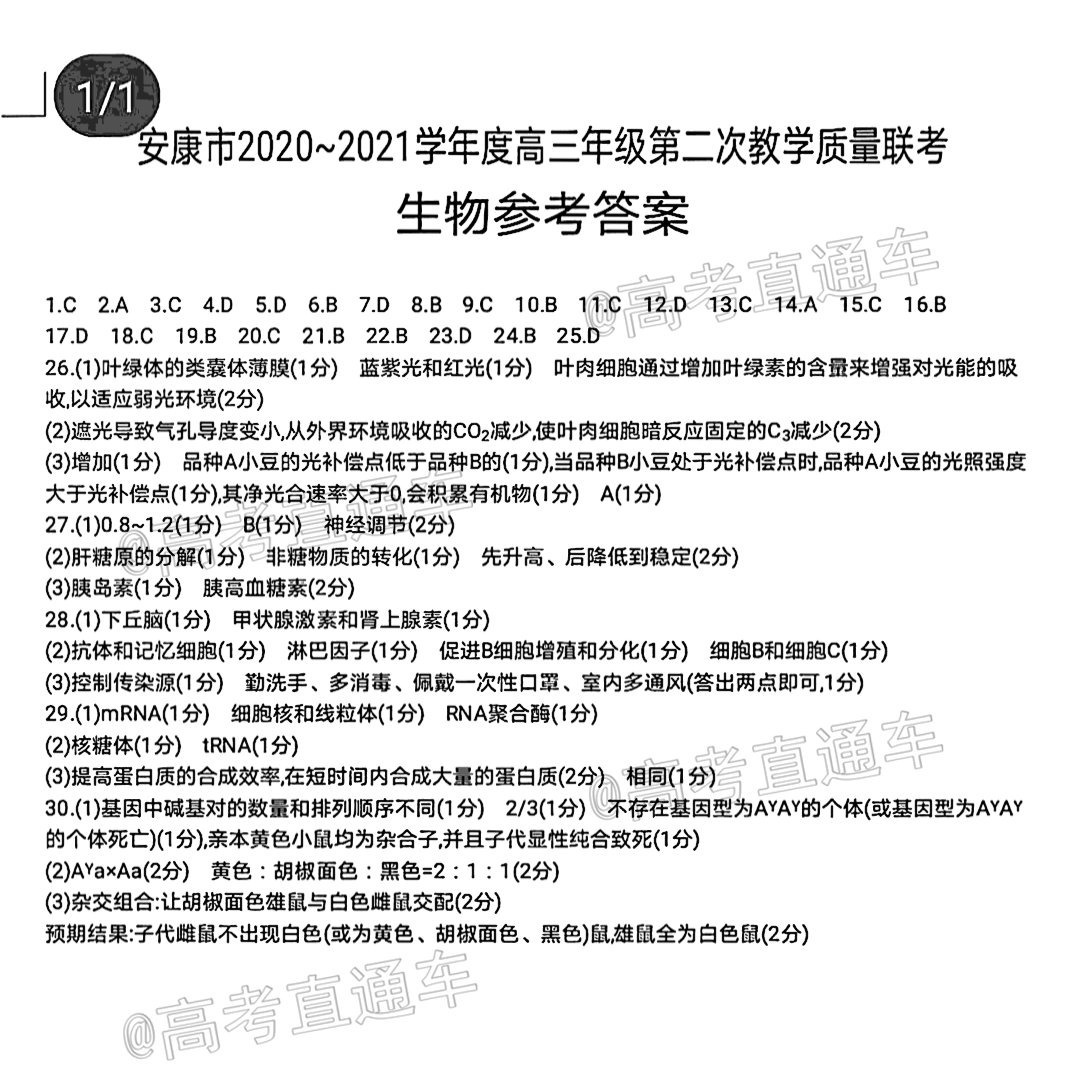 img_clear_0_020410742120191210801912_20210223214428_pSvgDhpEdE.jpg