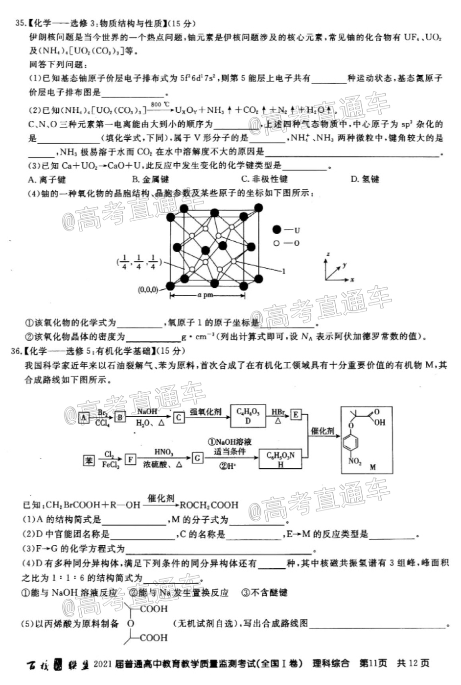 2021百校联盟5月联考（全国一卷）理综试题及参考答案 第11页