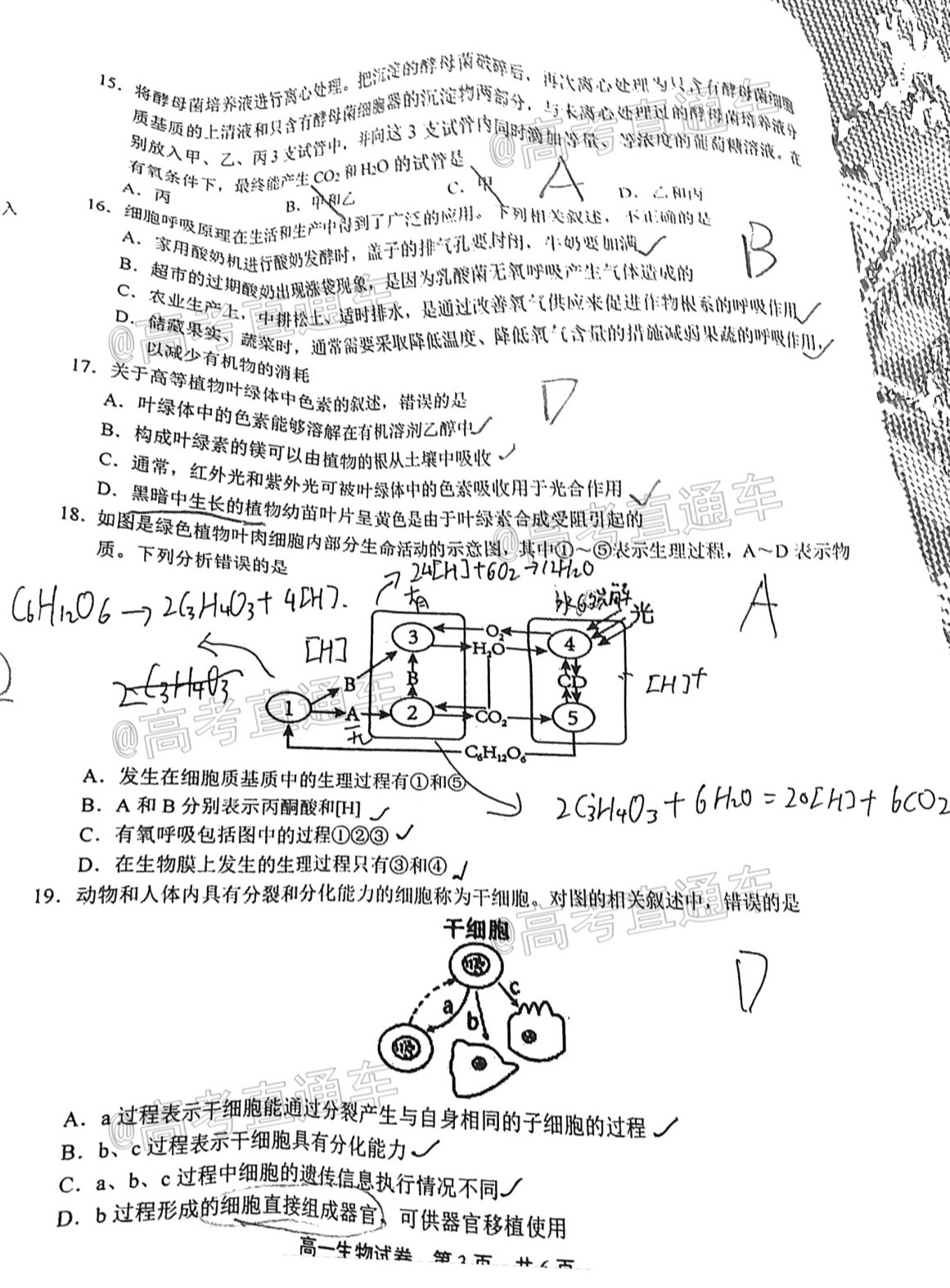 2021上饶高一期末生物试题及参考答案 第3页