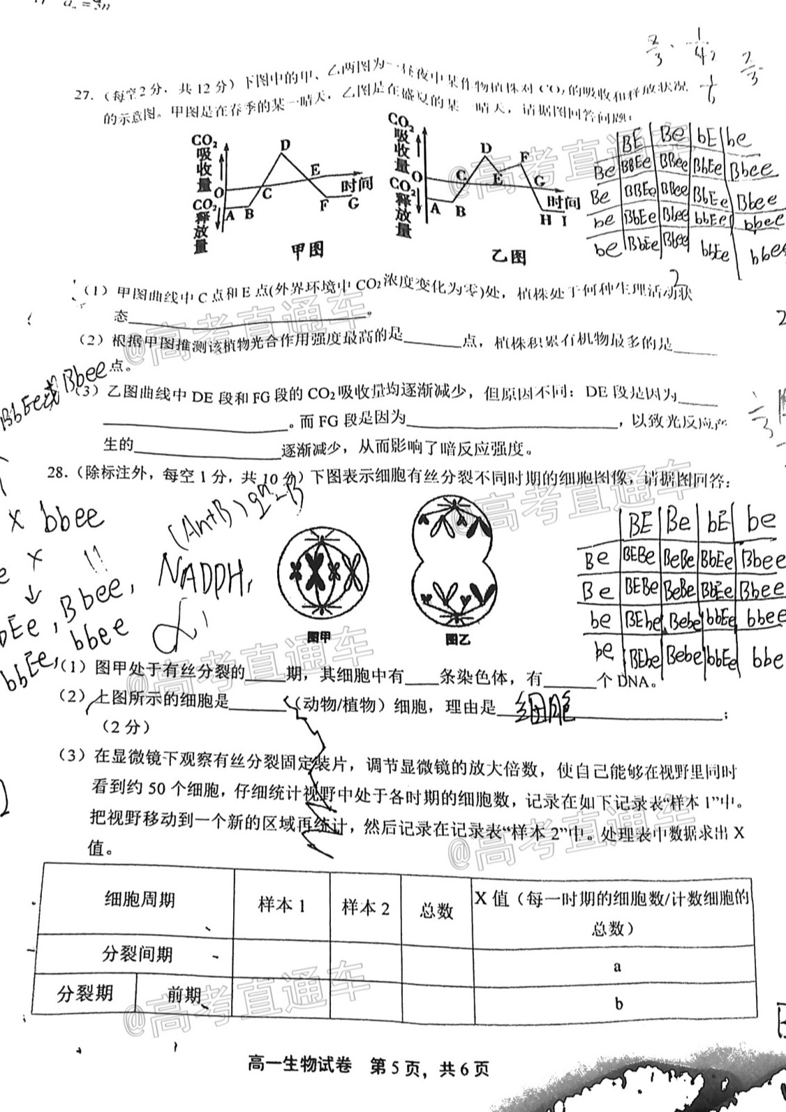 2021上饶高一期末生物试题及参考答案 第5页