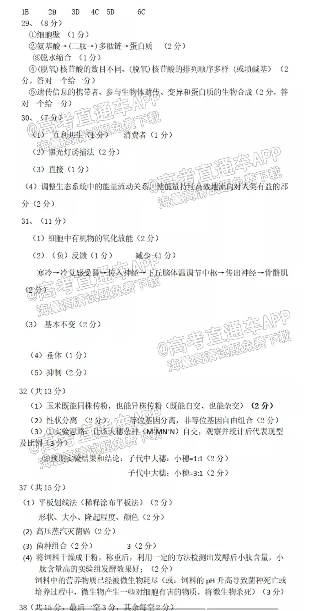 scrawl.png