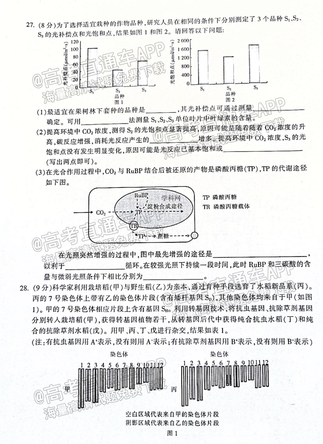 2022浙江金华十校高三11月联考生物试题及参考答案 第6页