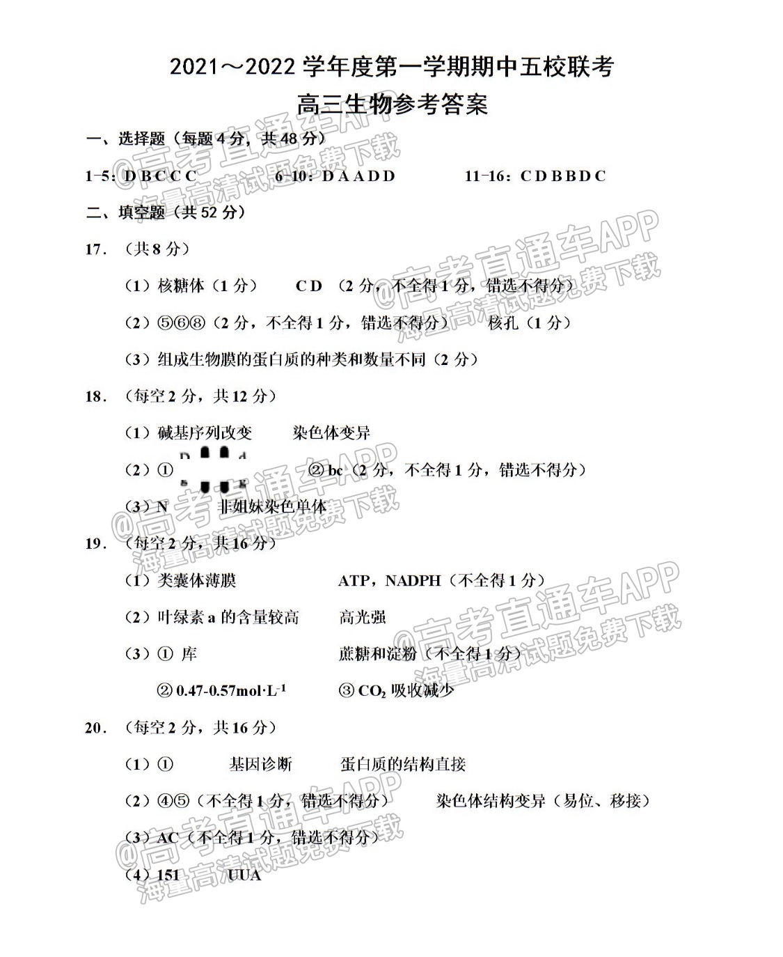 20211116103006_VB71gPF3S5.png