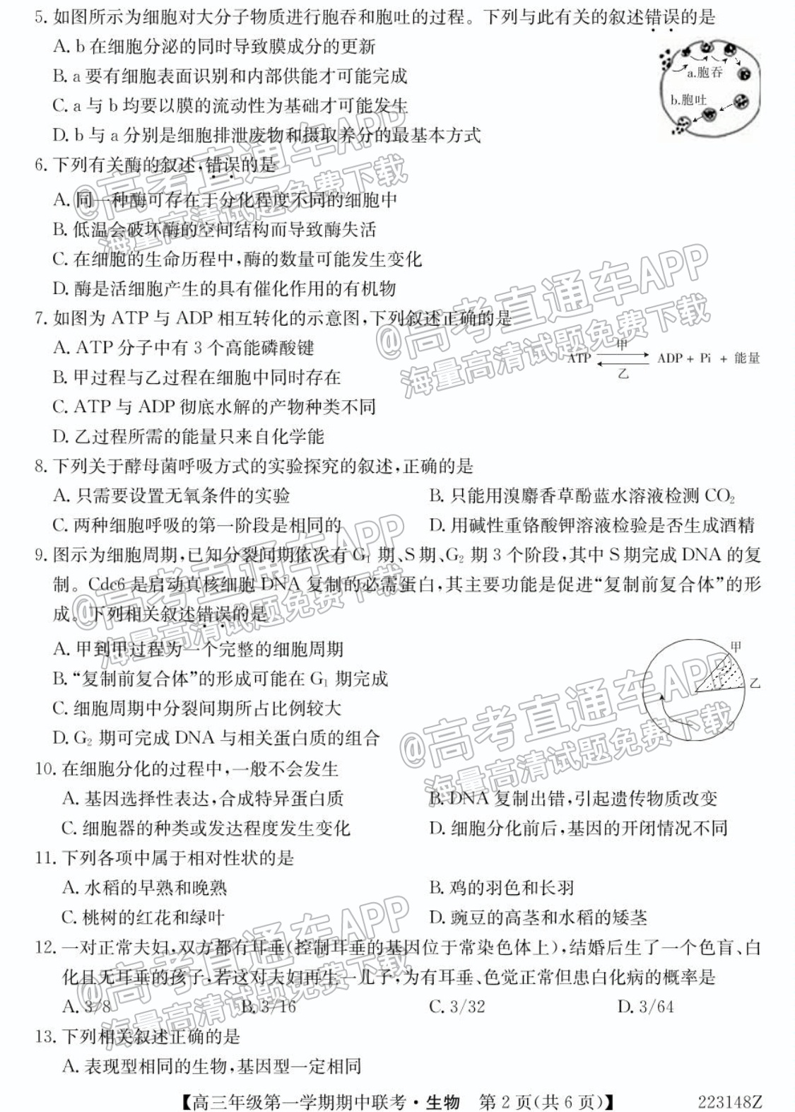 2022青海大通县高三（上）期中考生物试题及参考答案 第2页