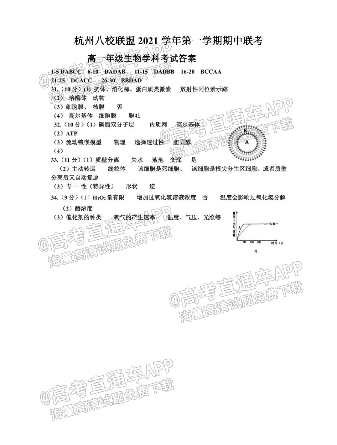 20211127203425_BUW14j8O37.png