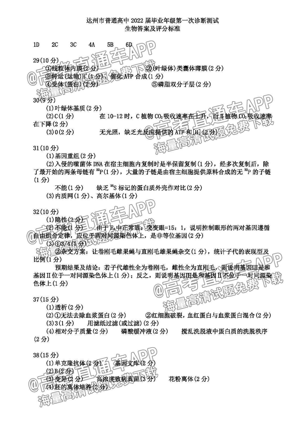 生物答案vMdg.png