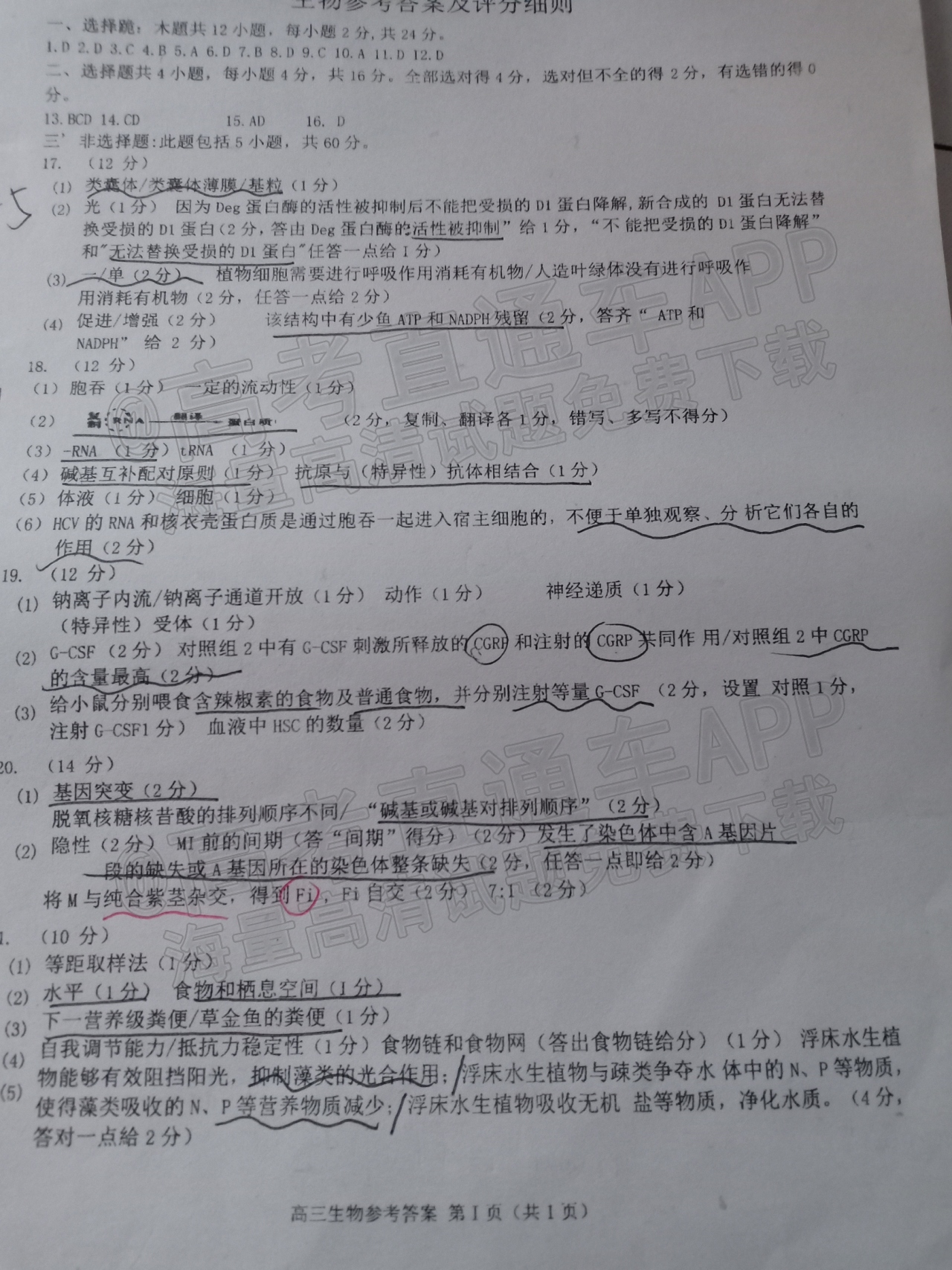 20220123121150_4ifOVIQuaU.jpg