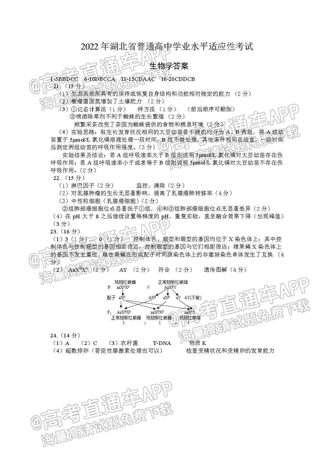 生物答案.png