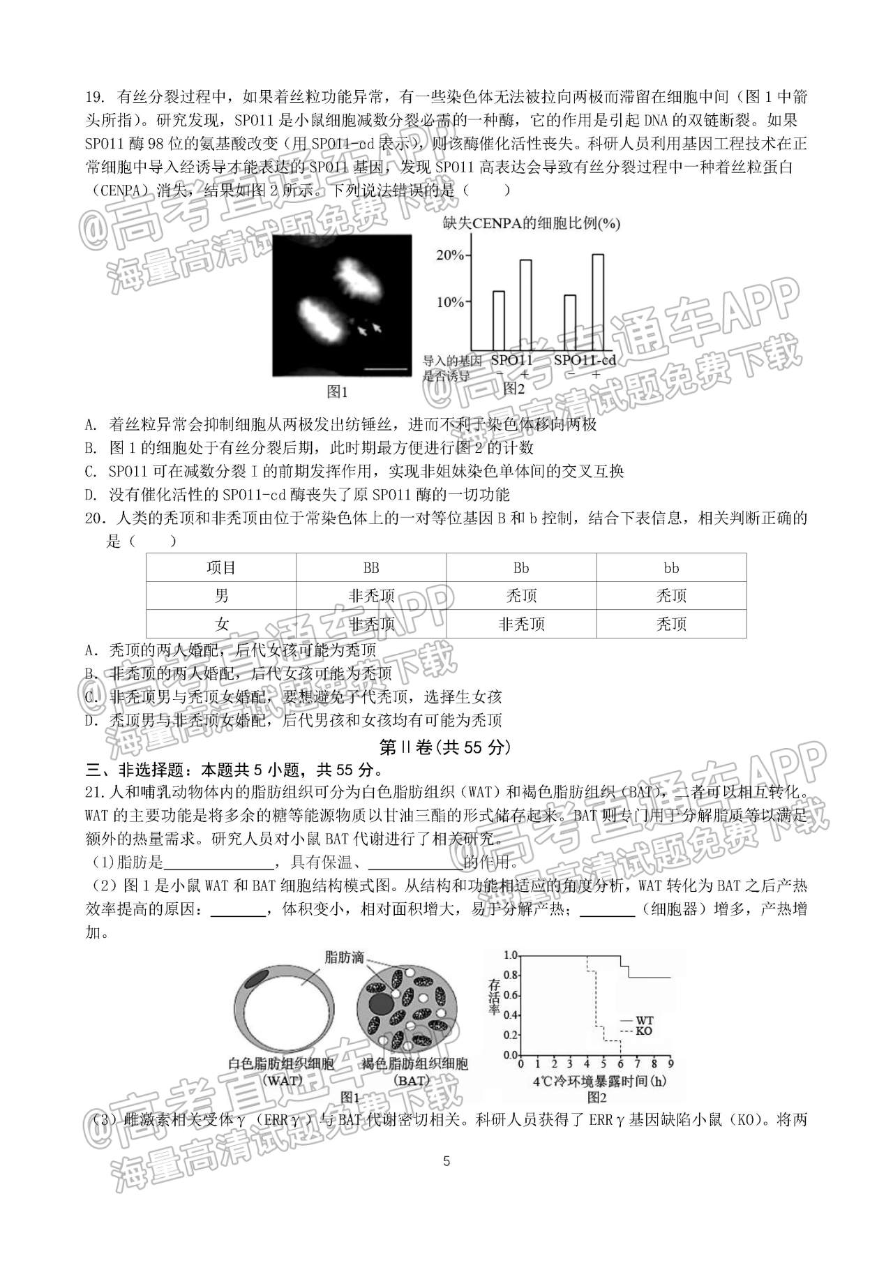 2023山东枣庄三中高三9月质量检测生物试题及参考答案 第5页