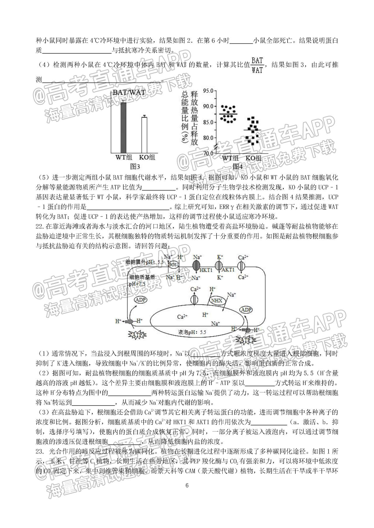 2023山东枣庄三中高三9月质量检测生物试题及参考答案 第6页