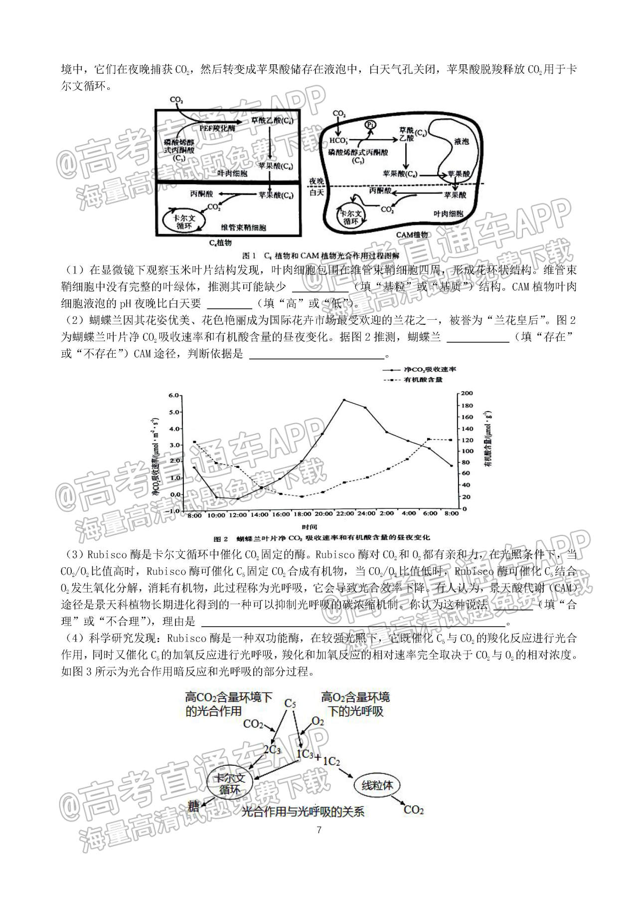 2023山东枣庄三中高三9月质量检测生物试题及参考答案 第7页