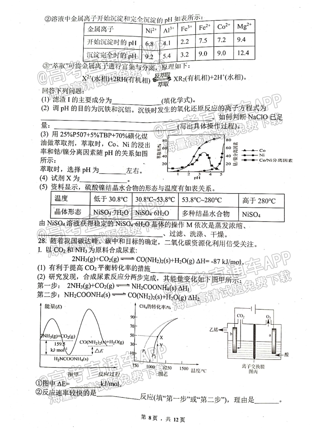 1666843090798169.png 2023绵阳南山中学高三一诊热身考试理综试题及参考答案 第8页