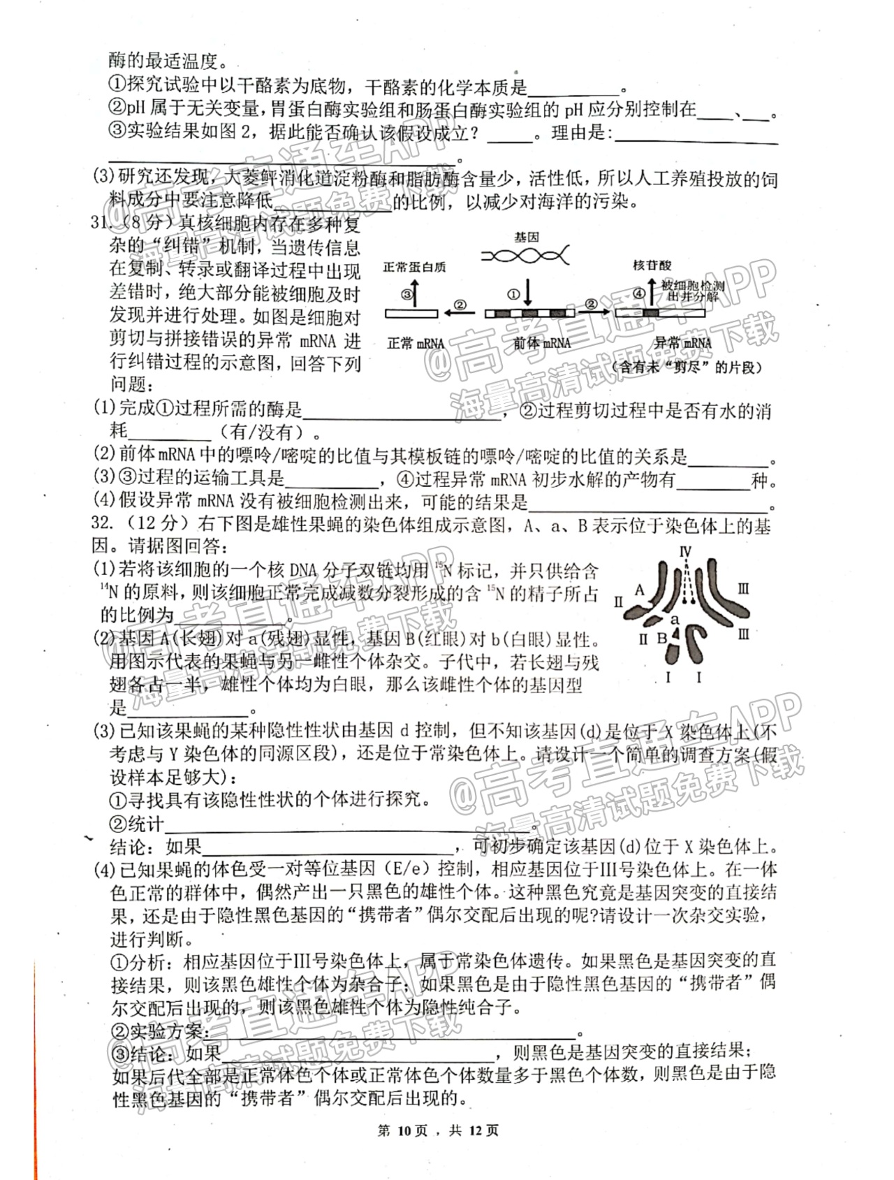 1666843097845600.png 2023绵阳南山中学高三一诊热身考试理综试题及参考答案 第10页