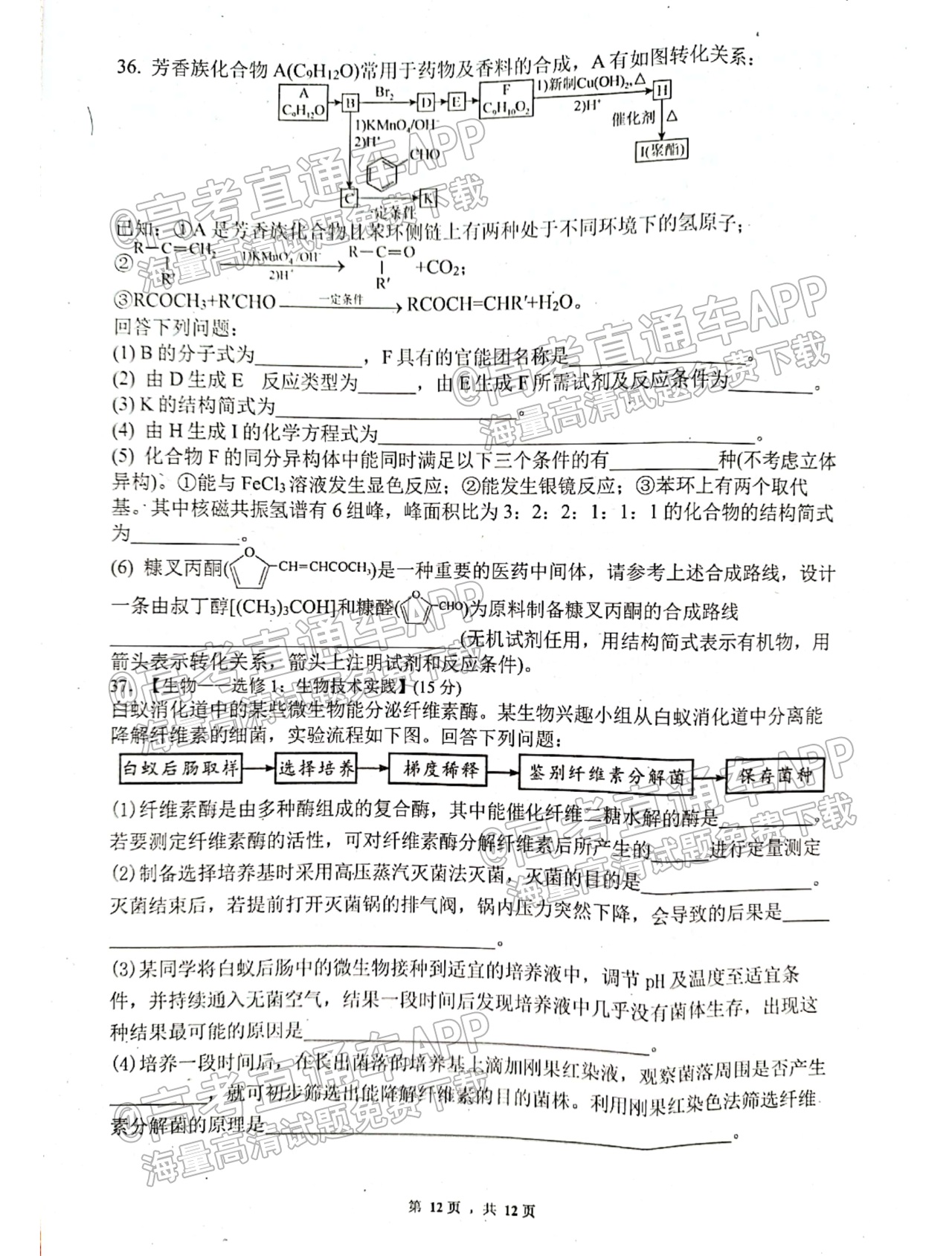 1666843100403937.png 2023绵阳南山中学高三一诊热身考试理综试题及参考答案 第12页