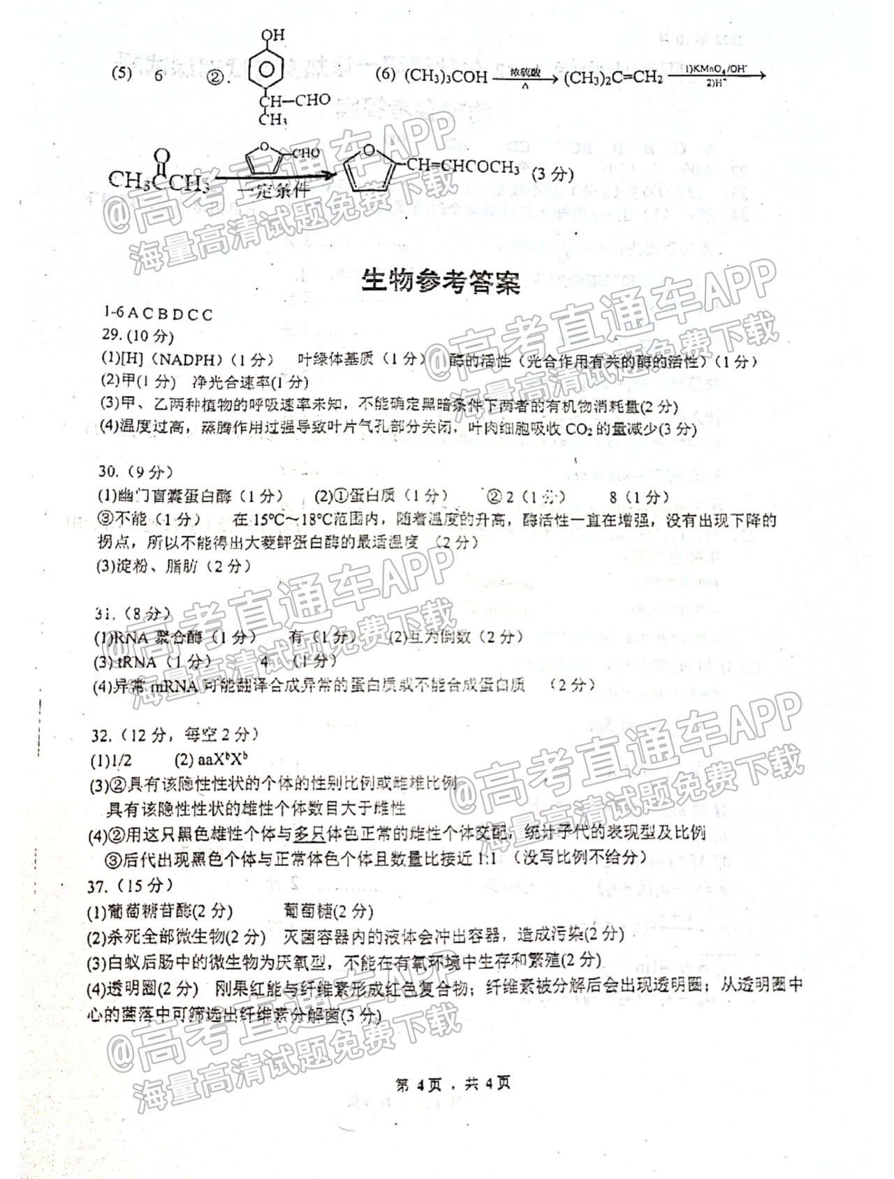 1666843108732846.png 2023绵阳南山中学高三一诊热身考试理综试题及参考答案 第16页