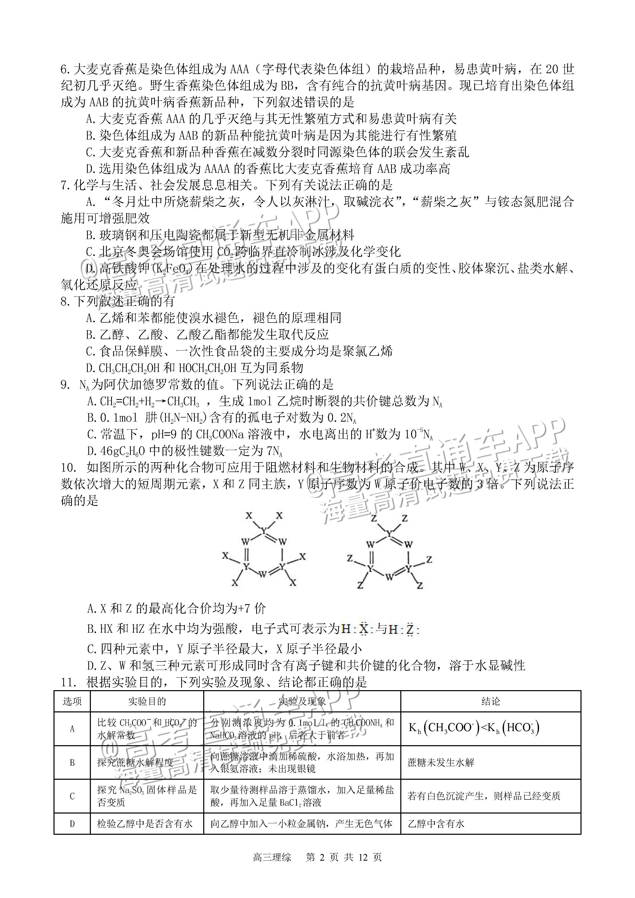 2023四川射洪中学高三3月月考理综试题及参考答案 第2页