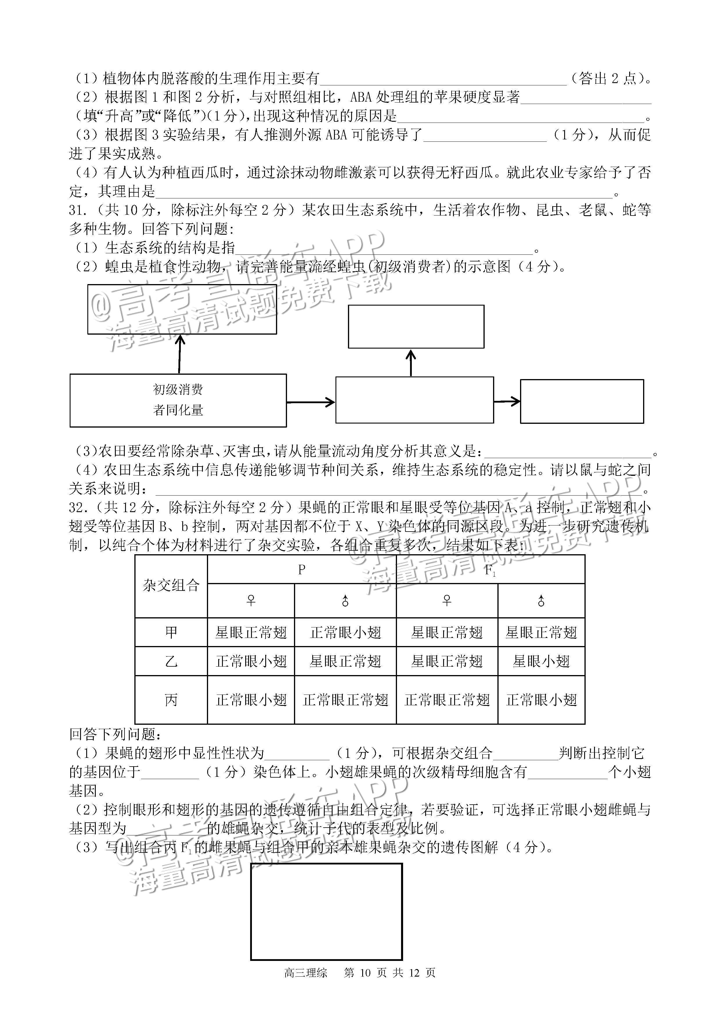 2023四川射洪中学高三3月月考理综试题及参考答案 第10页