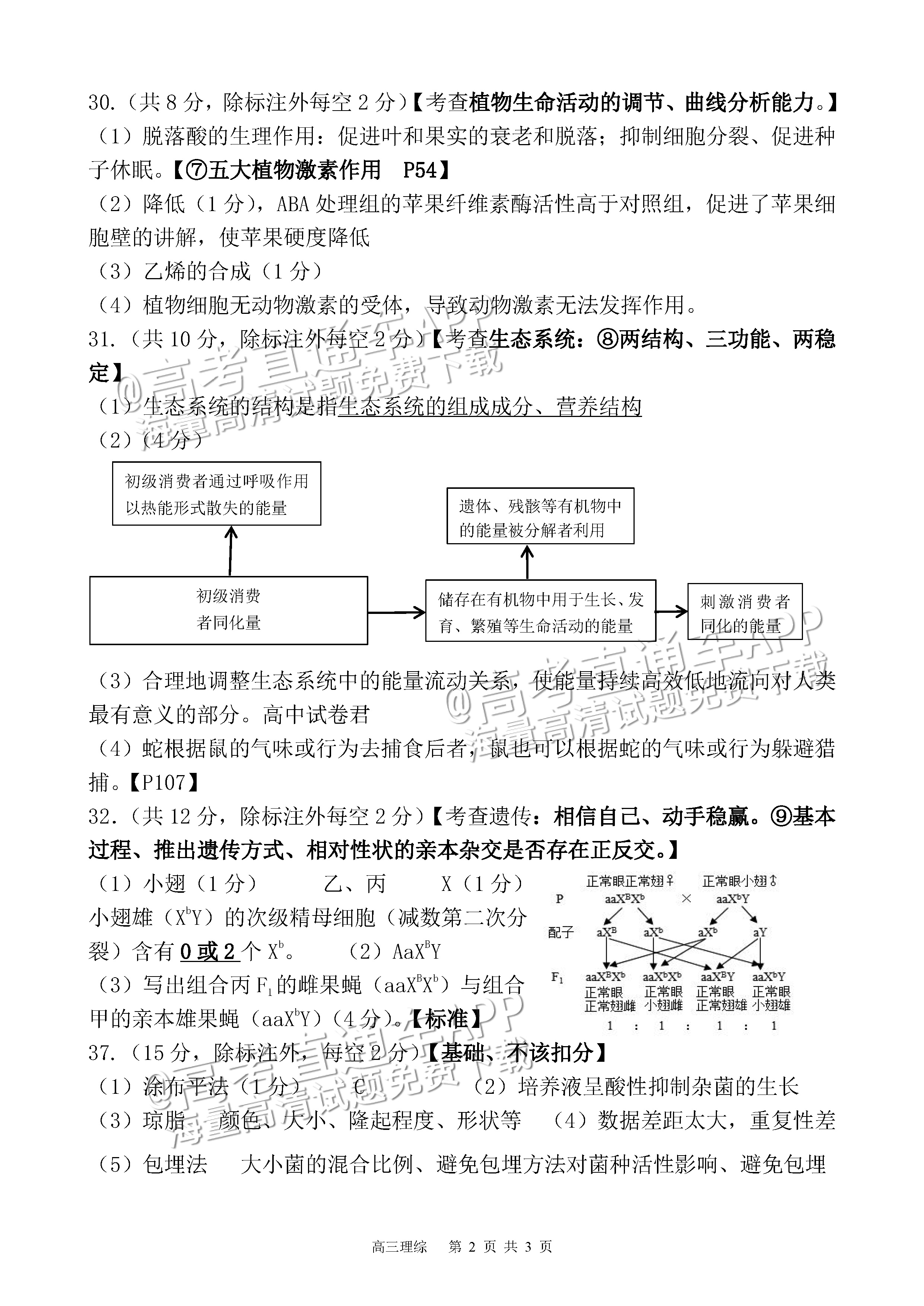 2023四川射洪中学高三3月月考理综试题及参考答案 第18页