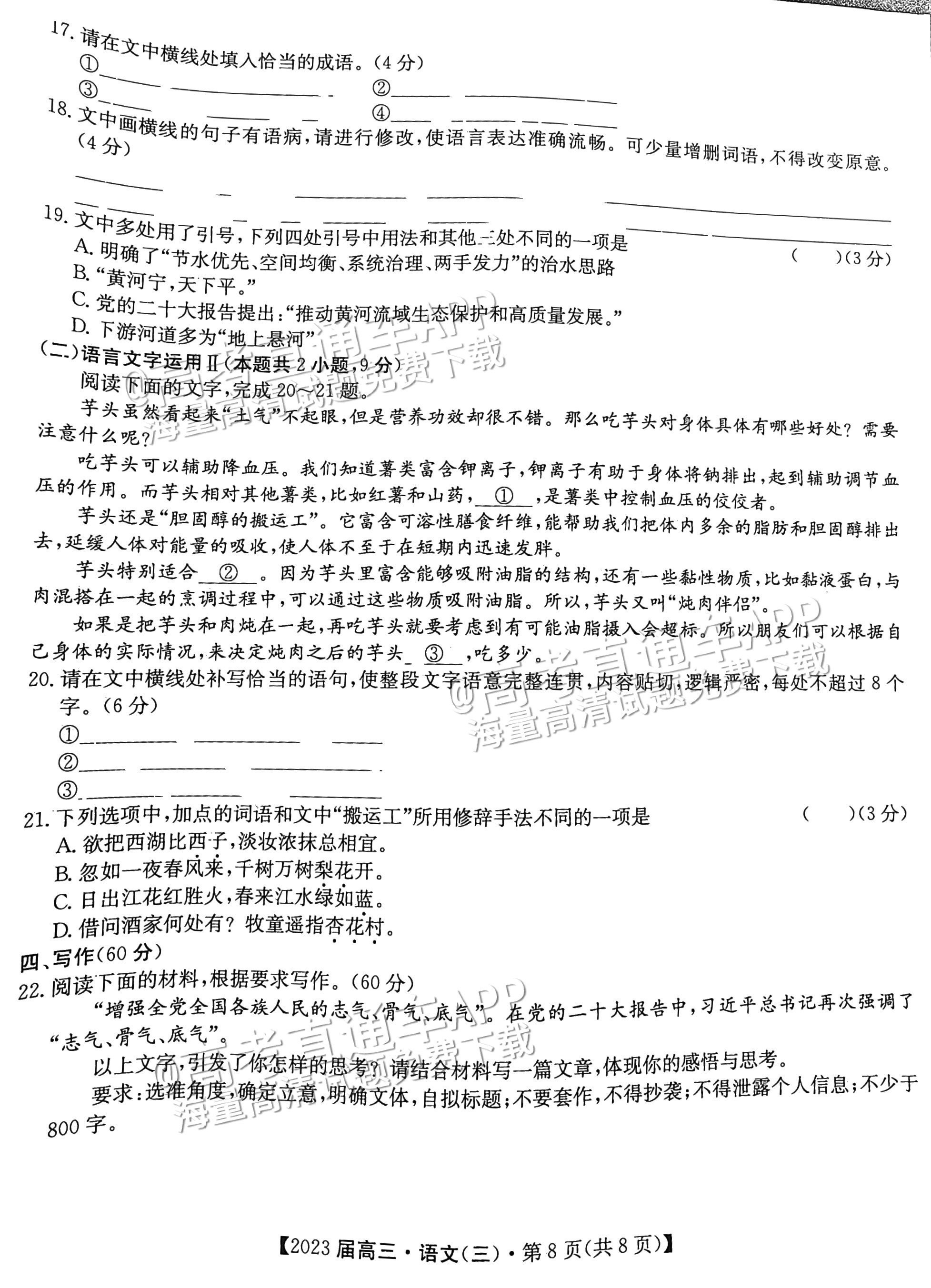 2023北京专家信息卷仿真模拟考试（三）语文试题 第8页