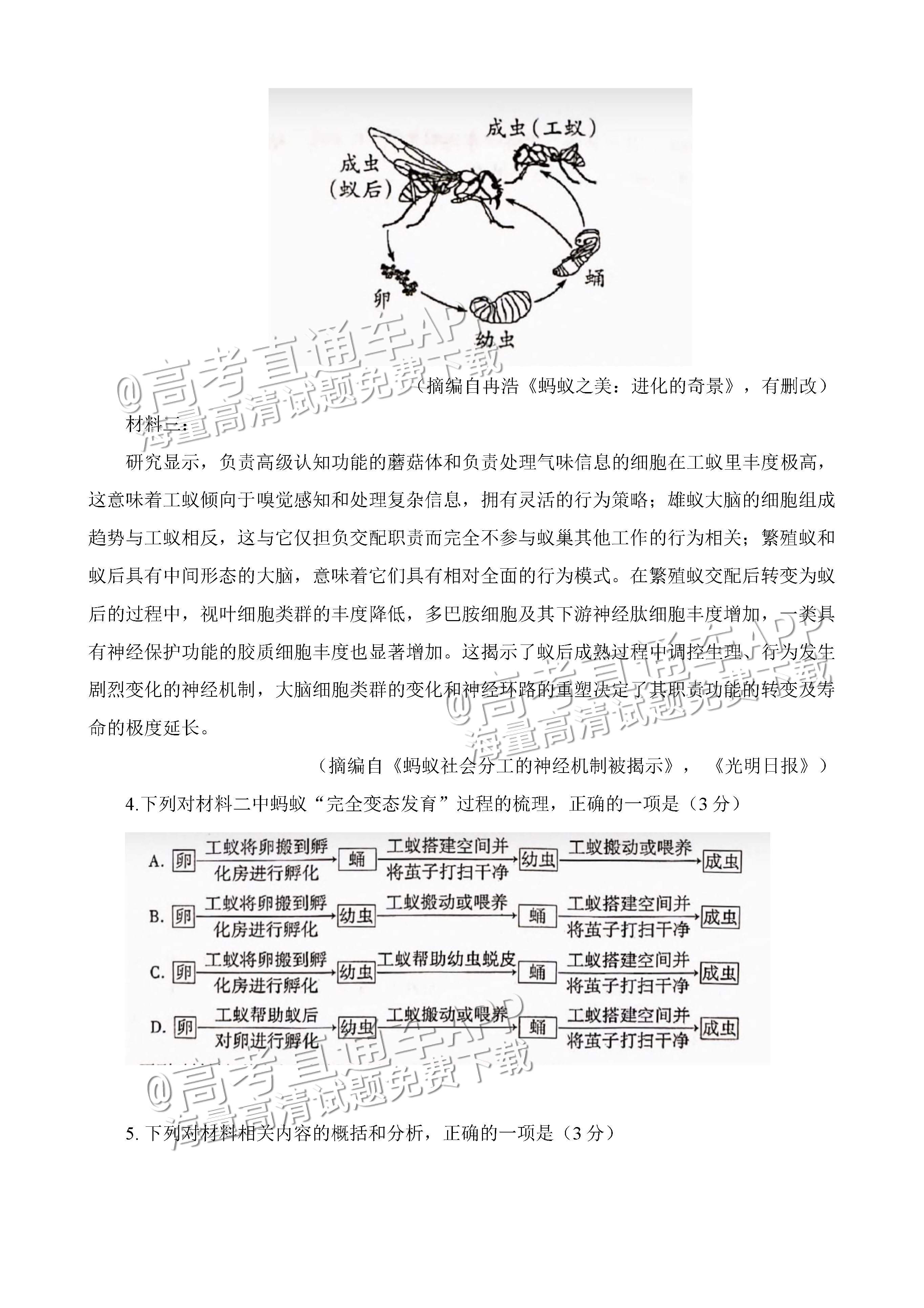 2023四川绵阳南山中学高三高考全真模拟语文试题及参考答案 第4页