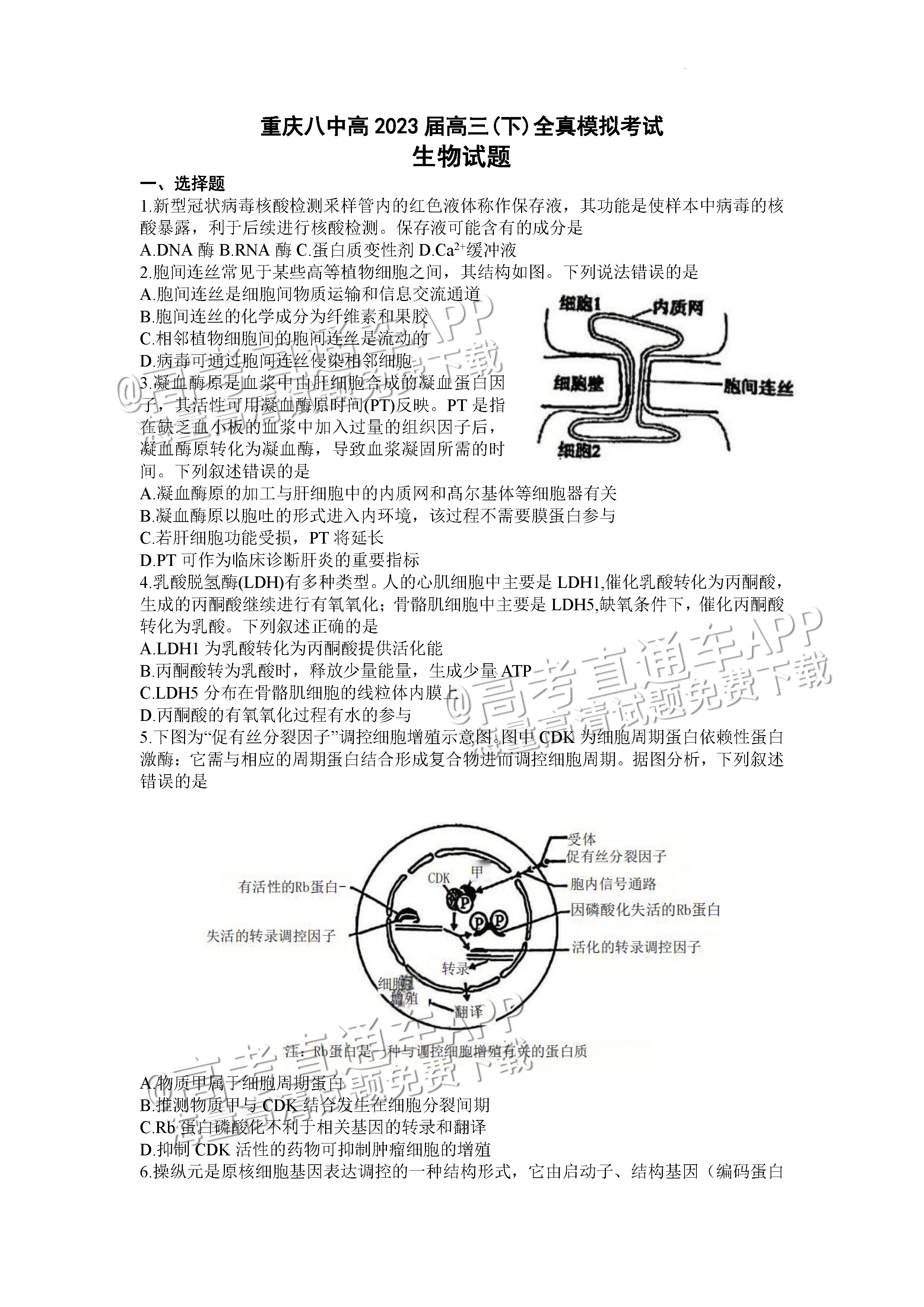 2023重庆八中高三下学期全真模拟考（二模）生物试题及参考答案 第1页