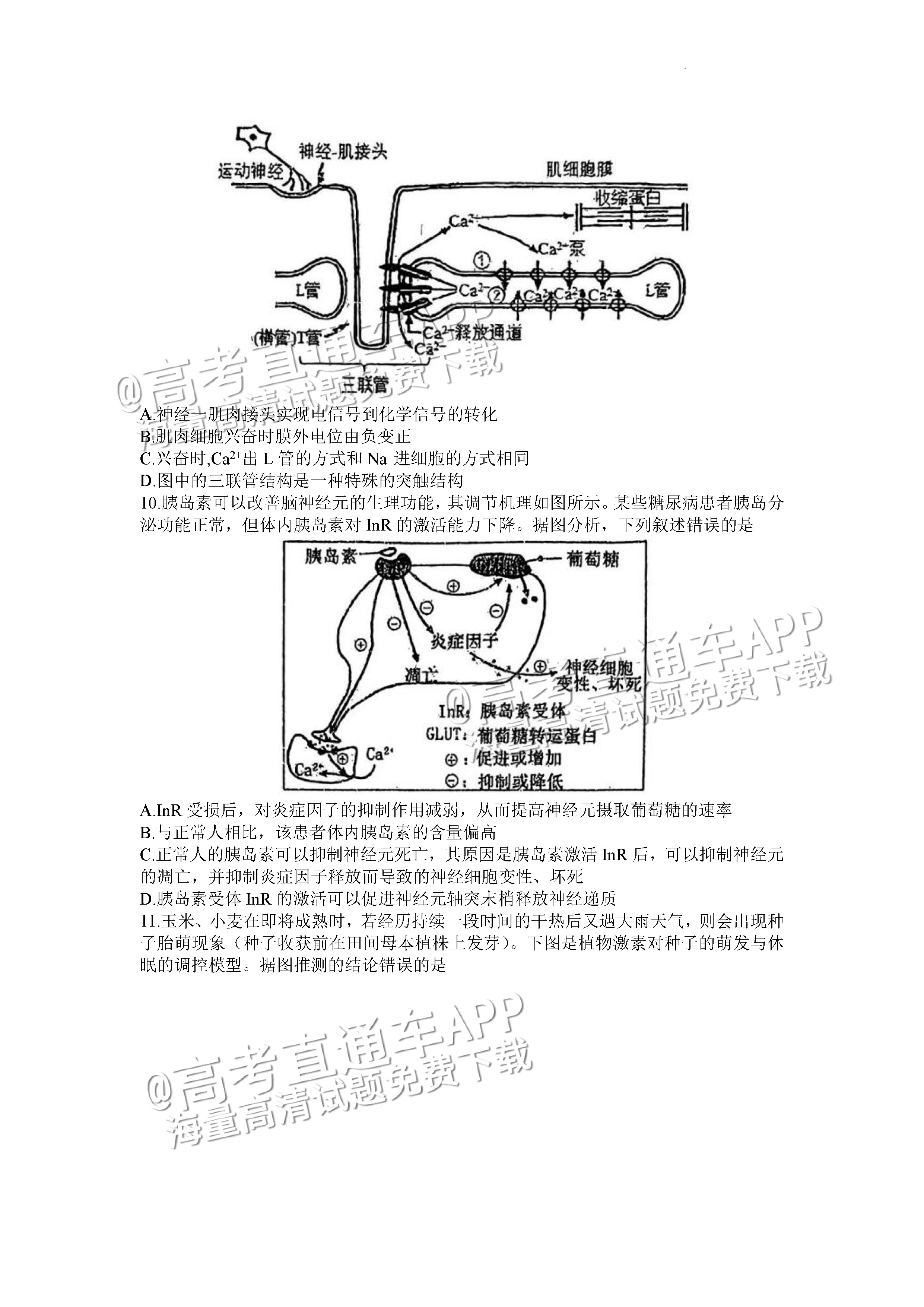 2023重庆八中高三下学期全真模拟考（二模）生物试题及参考答案 第3页