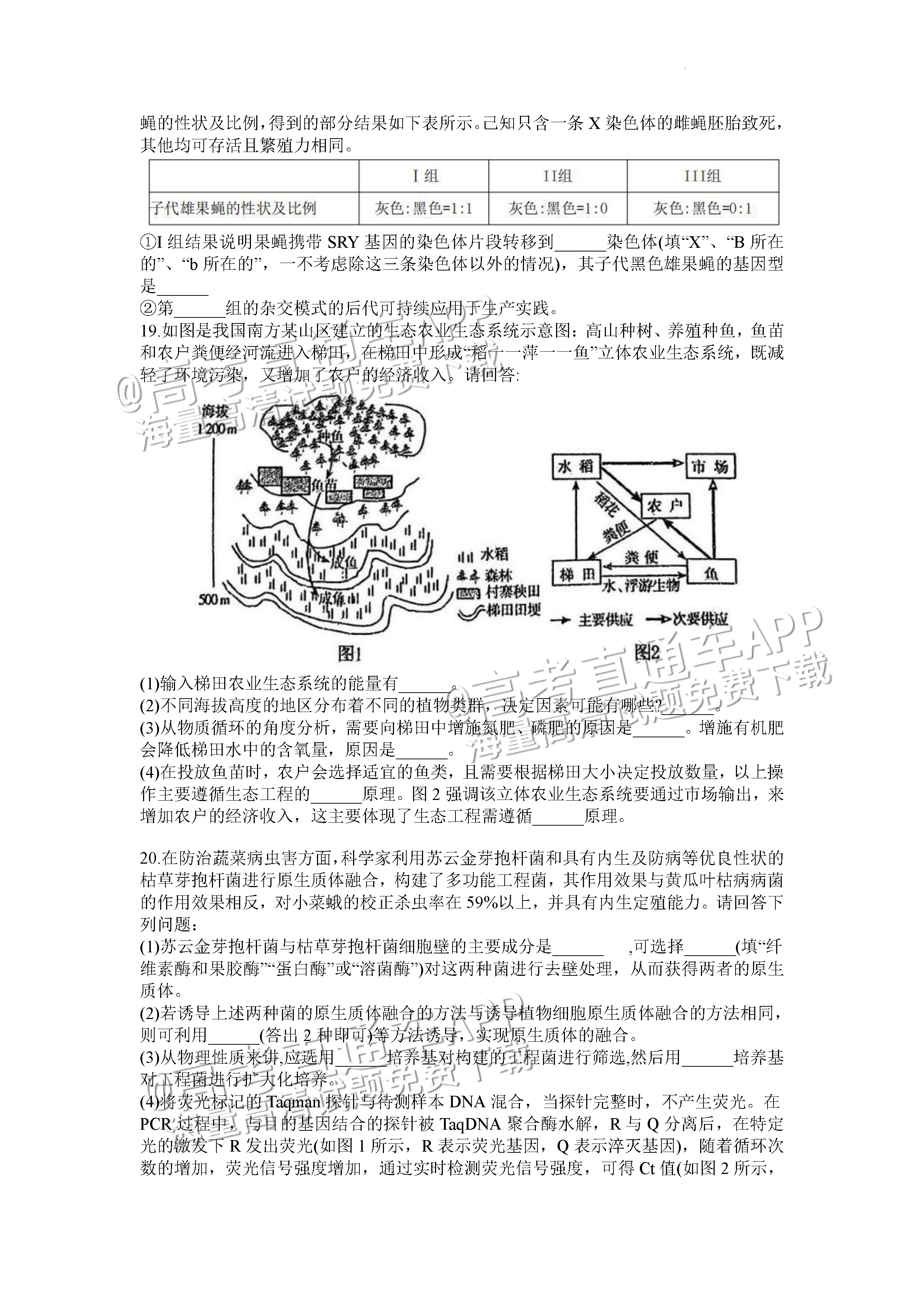 2023重庆八中高三下学期全真模拟考（二模）生物试题及参考答案 第7页