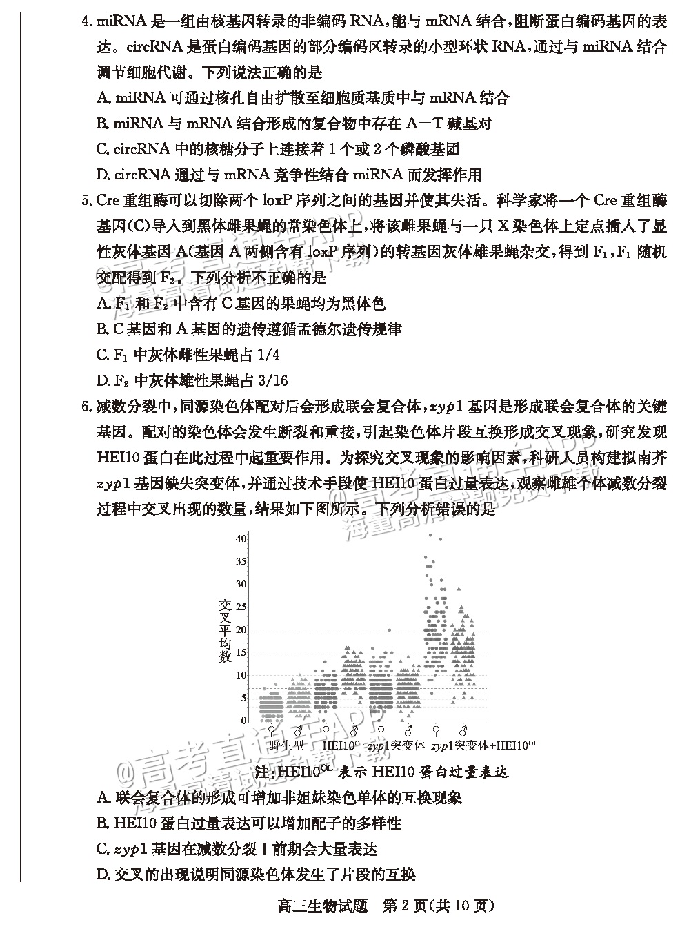 2023德州三模生物试题 第2页
