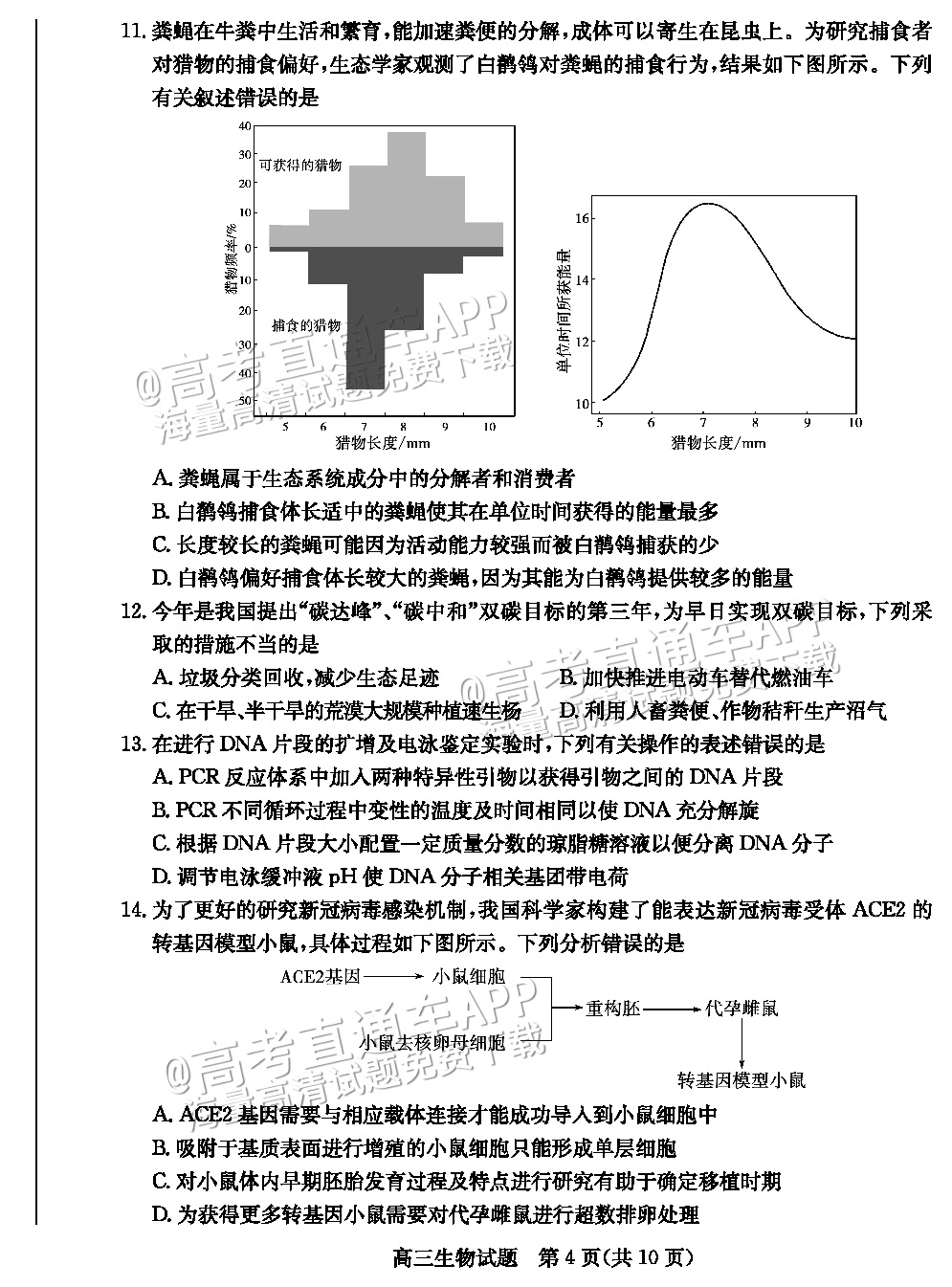 2023德州三模生物试题 第4页
