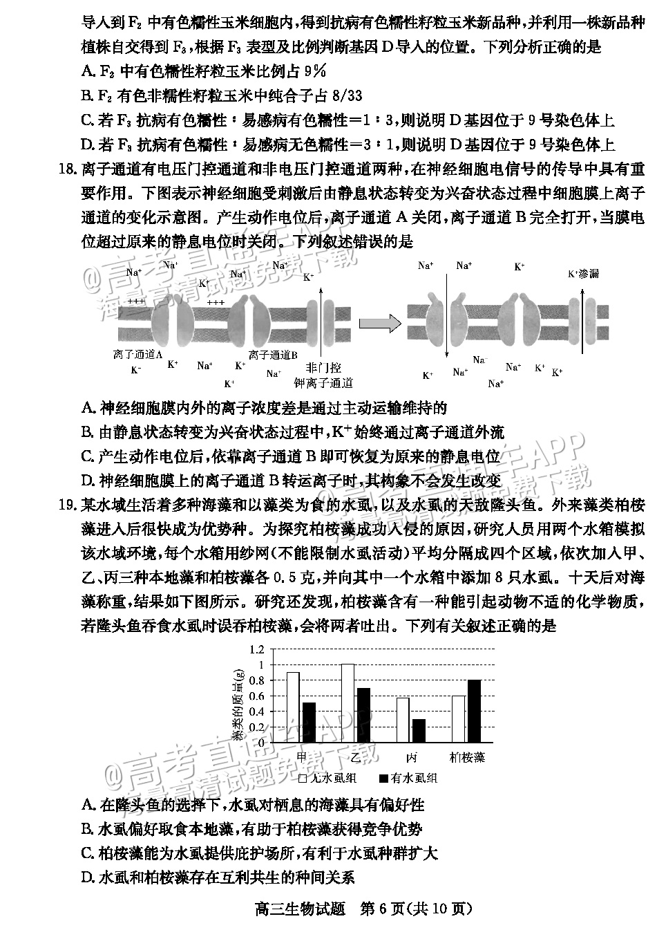 2023德州三模生物试题 第6页