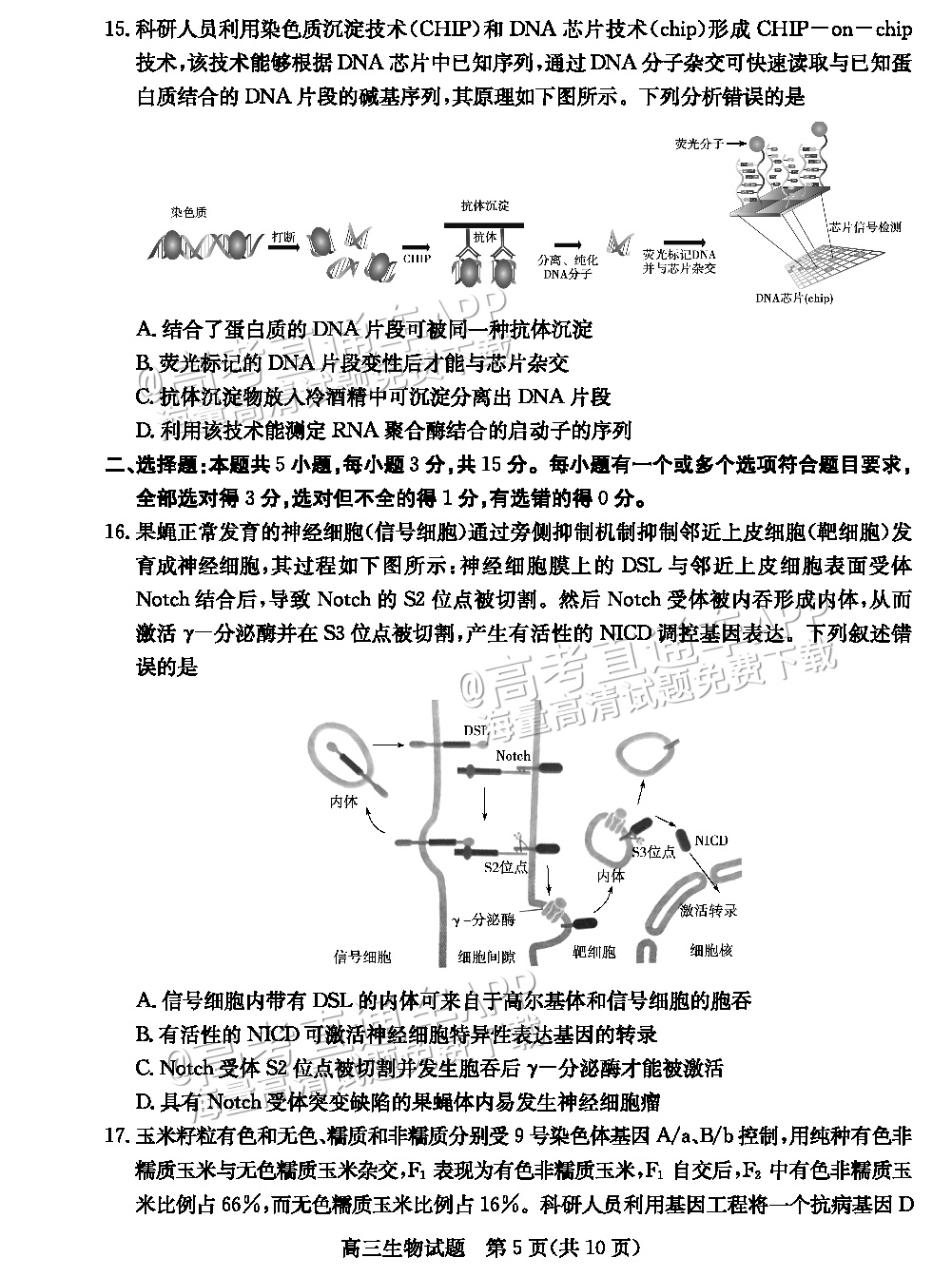 2023德州三模生物试题 第5页
