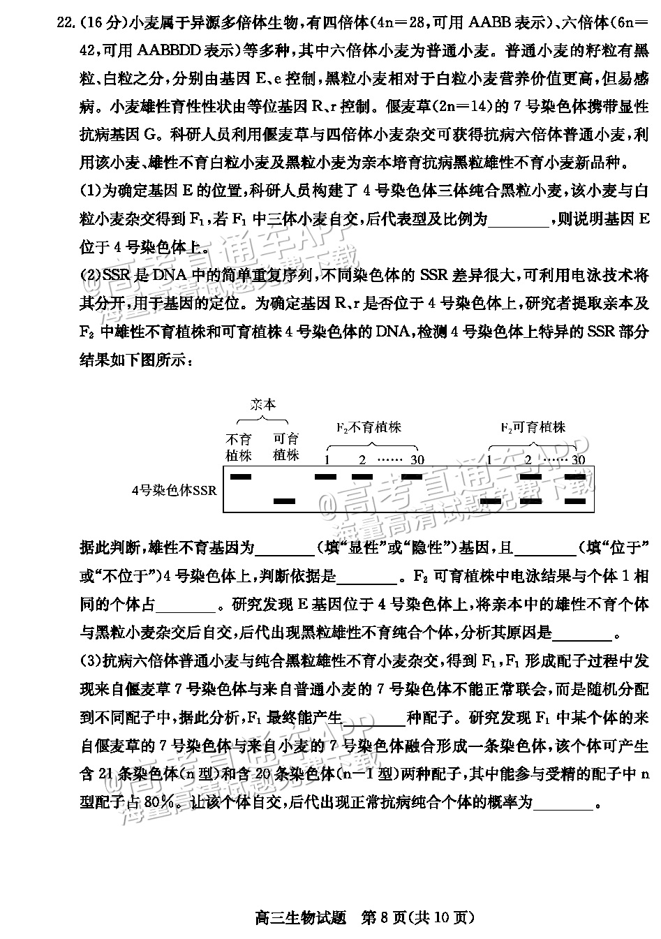 2023德州三模生物试题 第8页