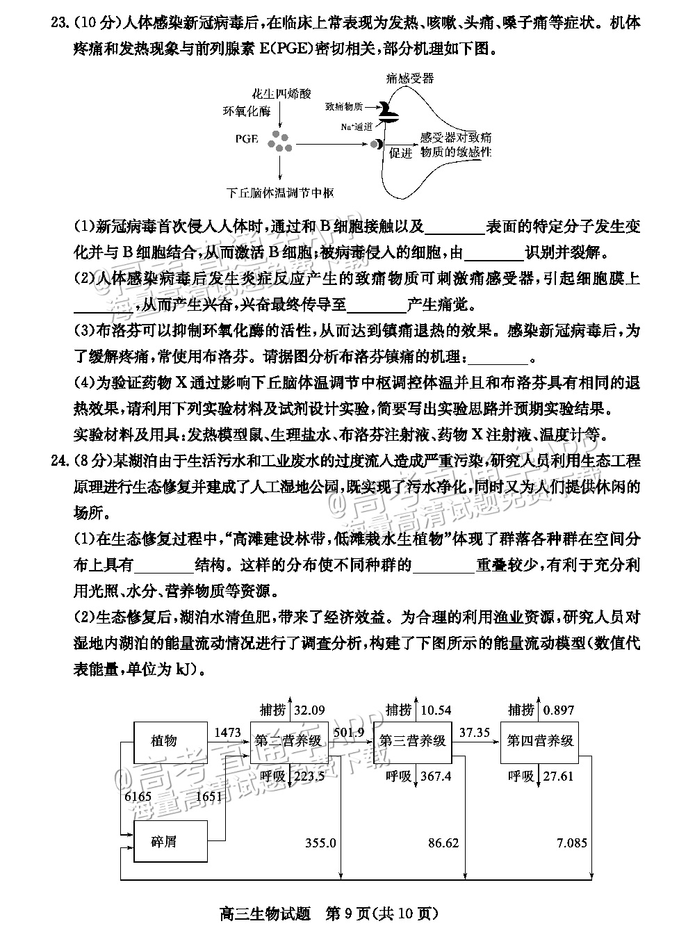 2023德州三模生物试题 第9页