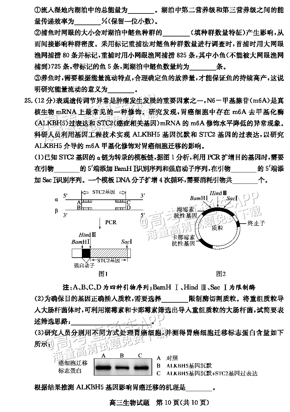 2023德州三模生物试题 第10页
