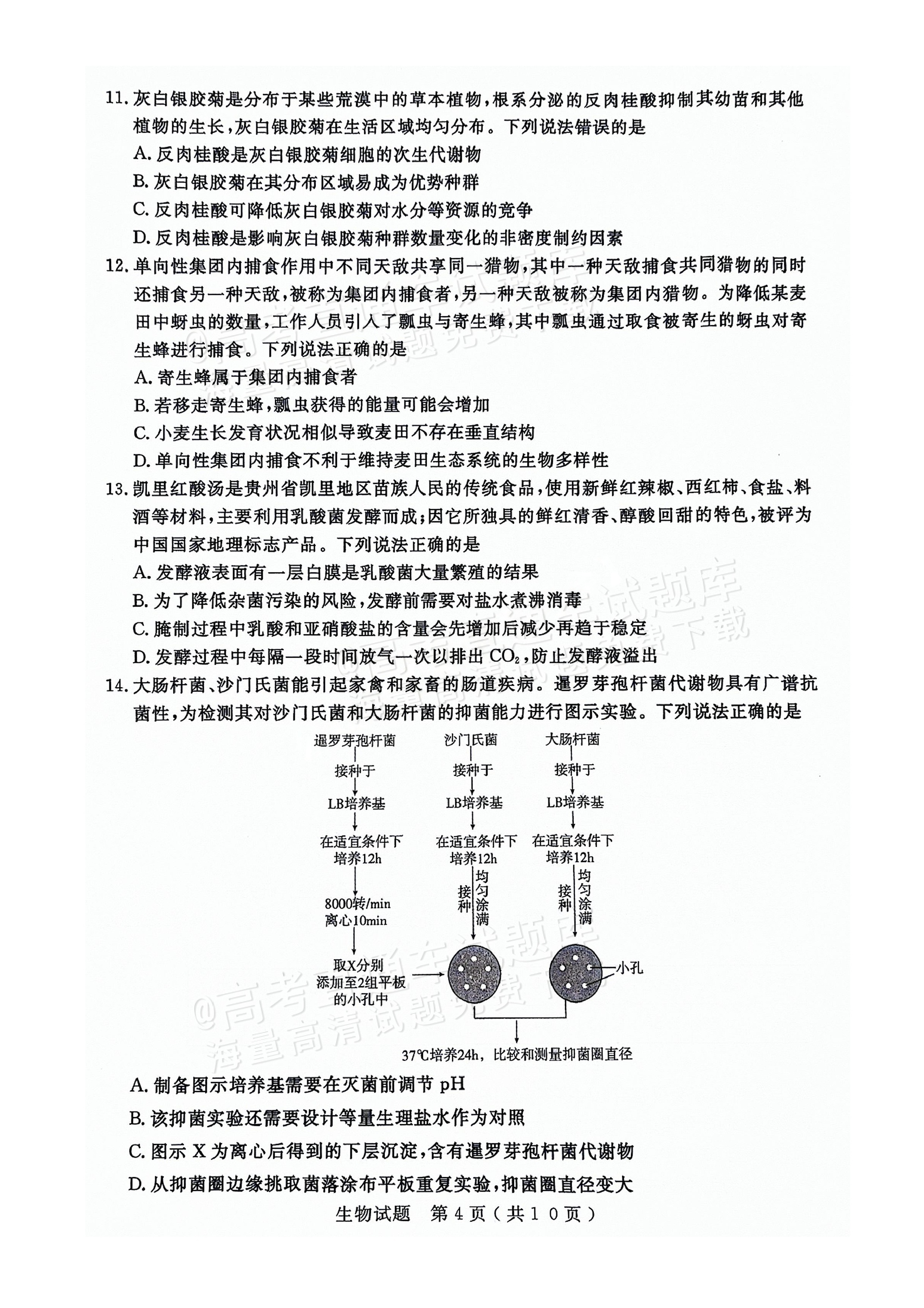 9cf1d76207861785cf237d9d4224c11.png