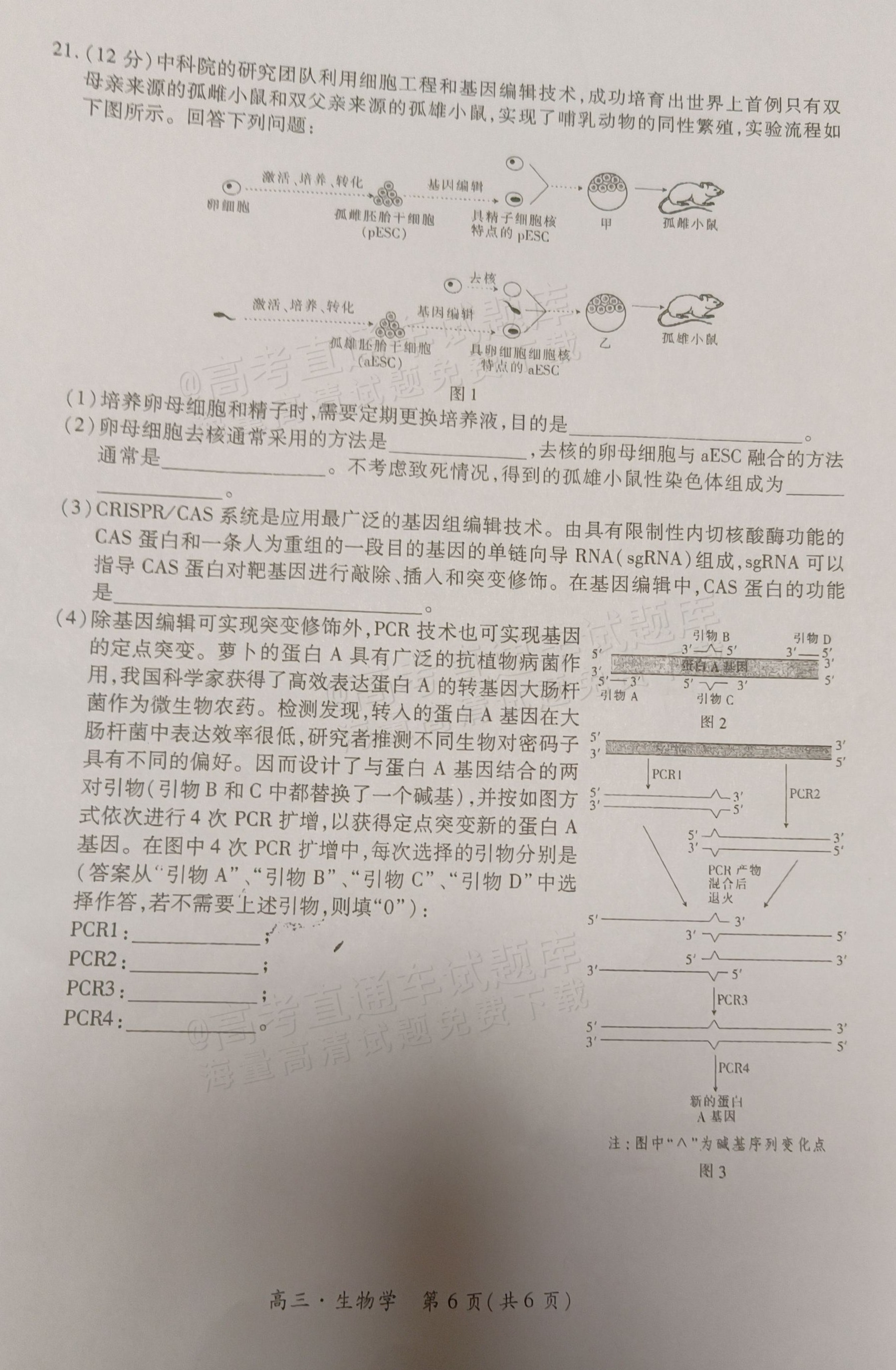 1729045090182169.png 2025江西稳派上进高三全省排名考试生物试题及参考答案 第6页