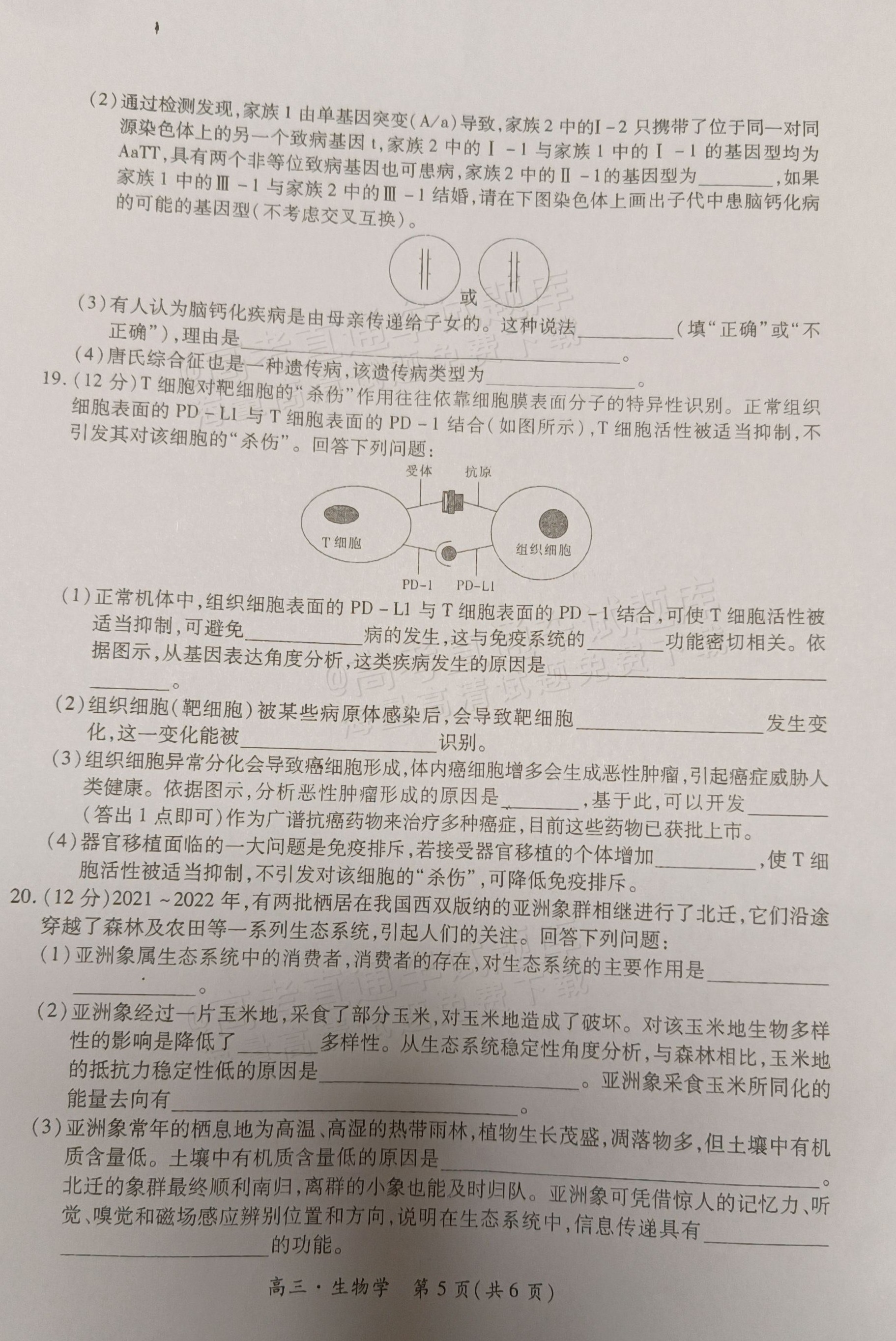 1729045082531194.png 2025江西稳派上进高三全省排名考试生物试题及参考答案 第5页