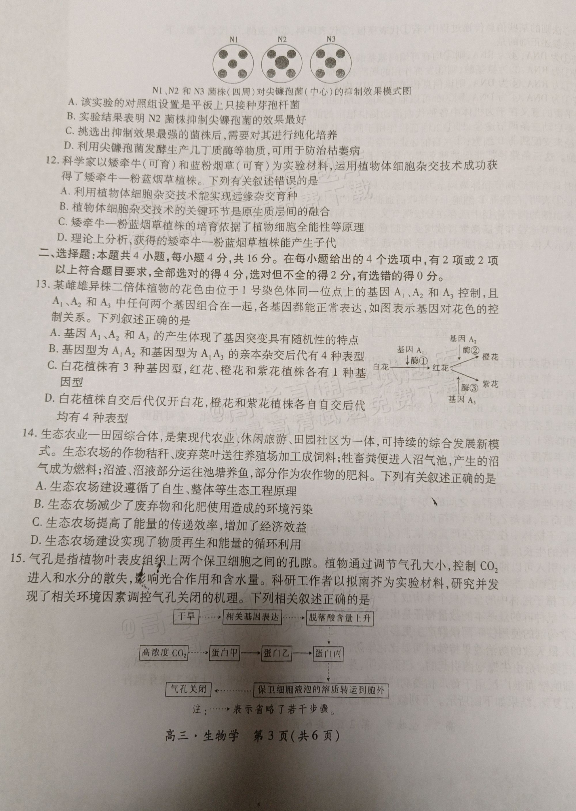 1729045065367737.png 2025江西稳派上进高三全省排名考试生物试题及参考答案 第3页