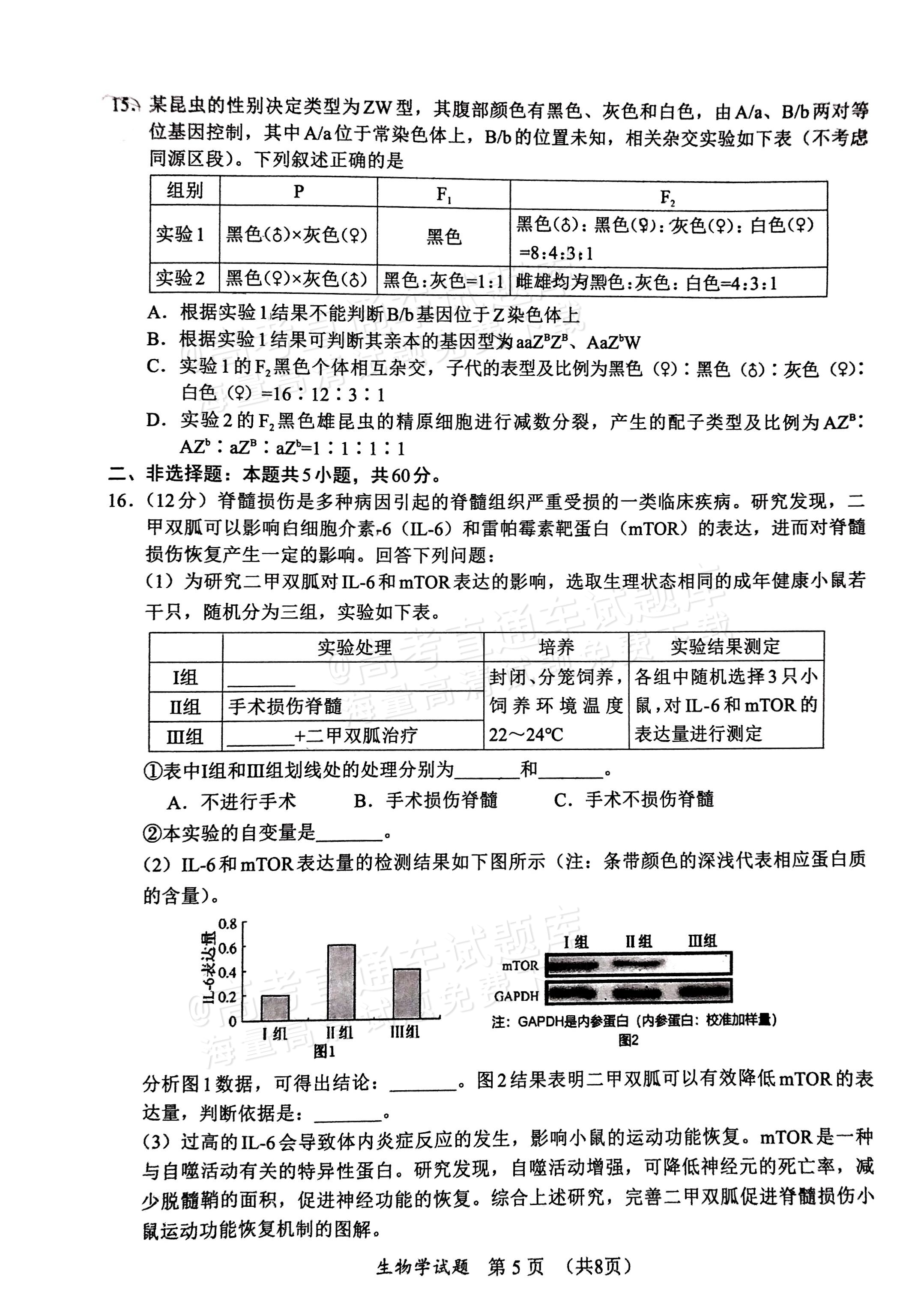 2025福建高三11月名校联考生物试题及参考答案 第5页