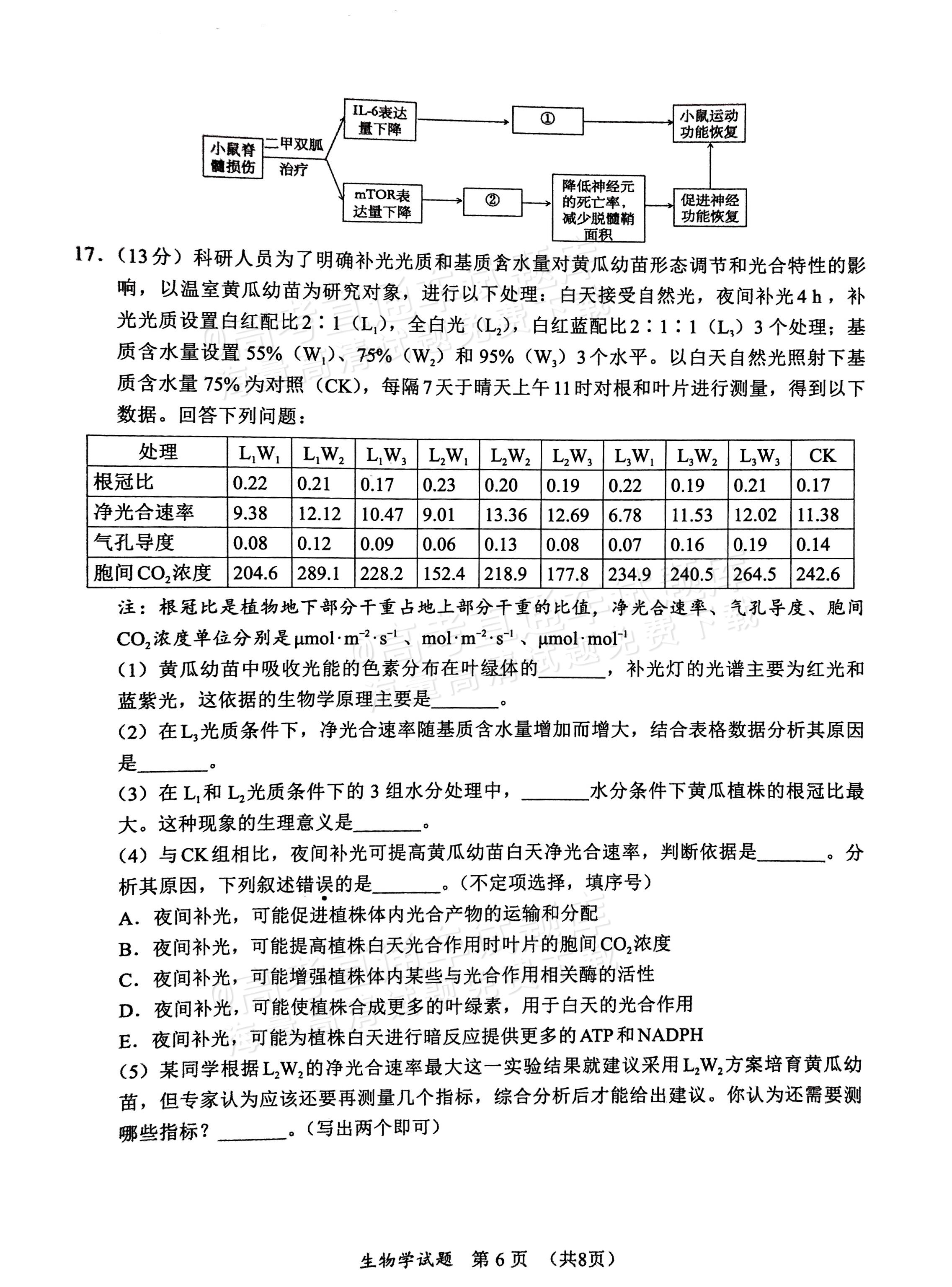 2025福建高三11月名校联考生物试题及参考答案 第6页