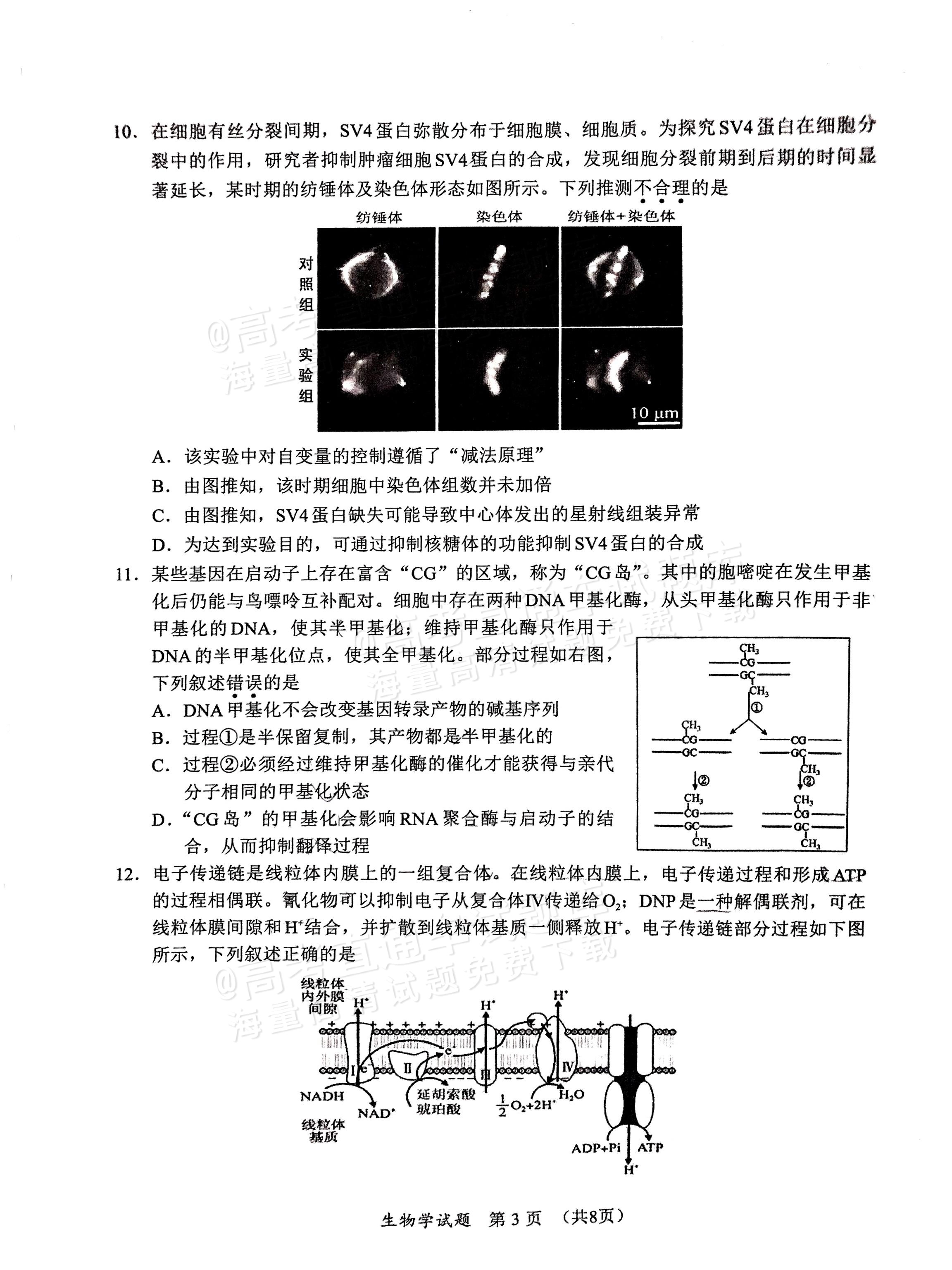 2025福建高三11月名校联考生物试题及参考答案 第3页