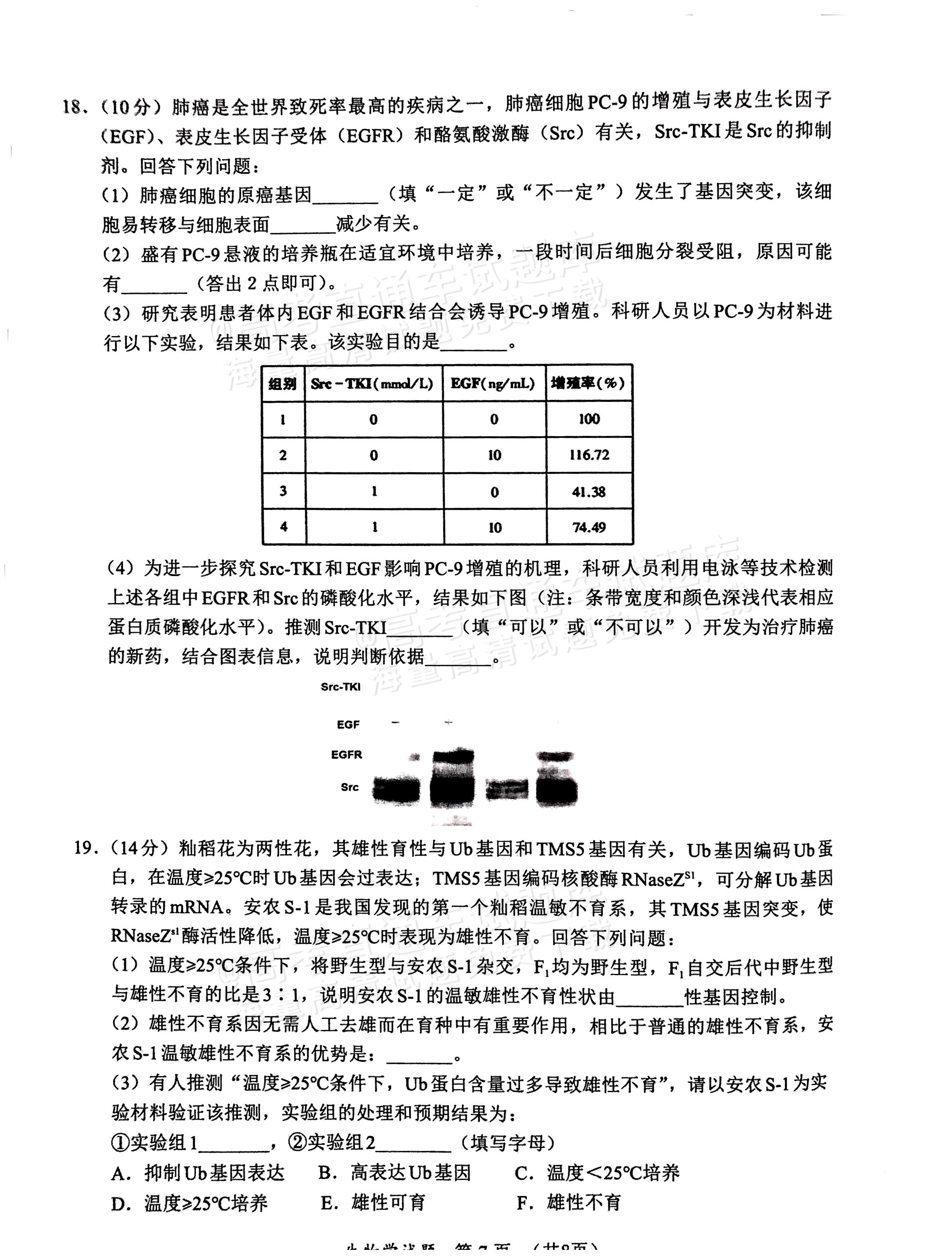 2025福建高三11月名校联考生物试题及参考答案 第7页