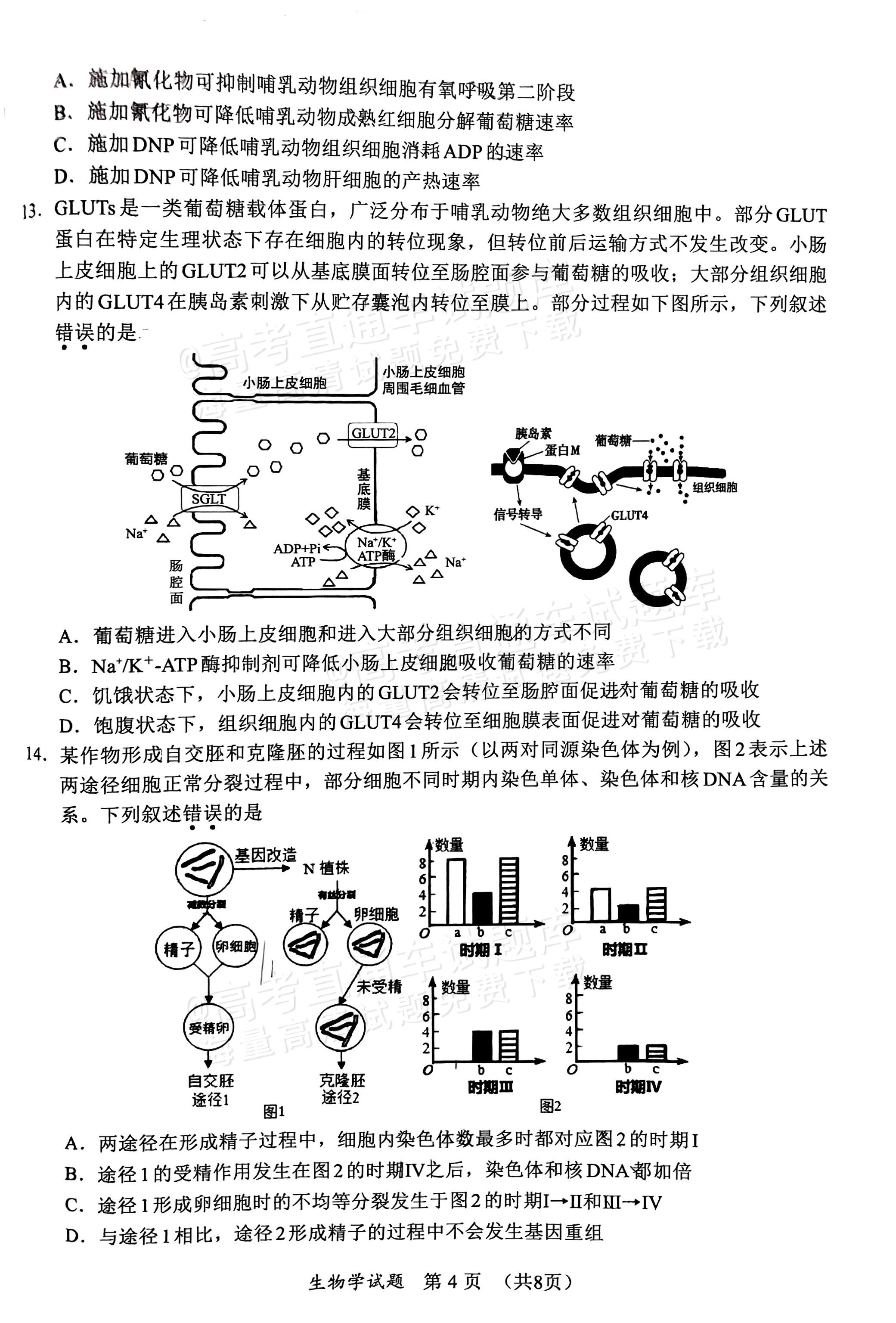 2025福建高三11月名校联考生物试题及参考答案 第4页