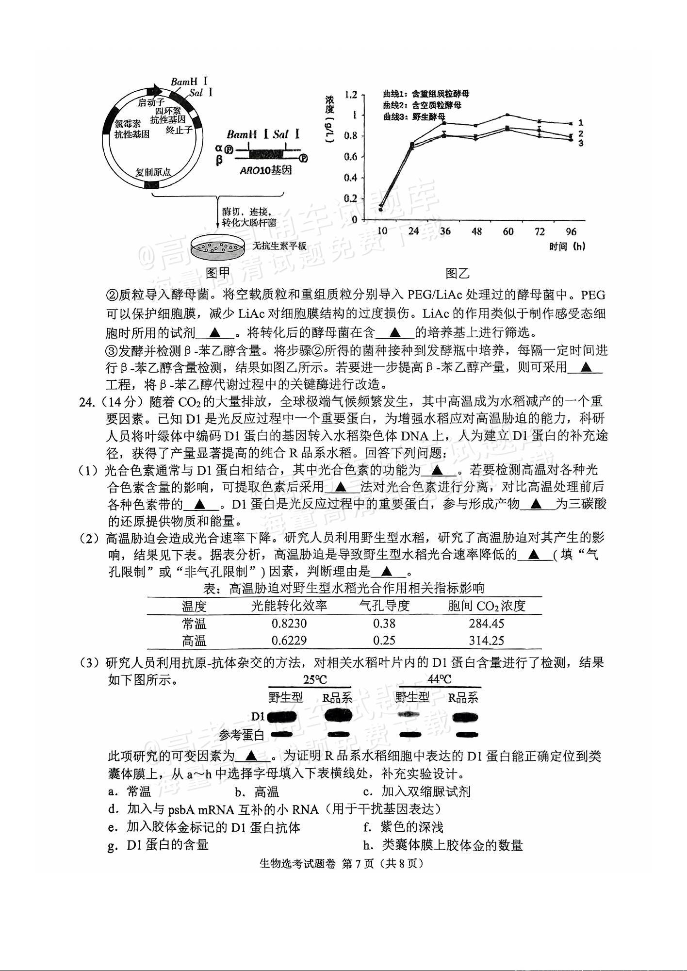 2025浙江稽阳联谊高三11月联考生物试题及参考答案 第7页