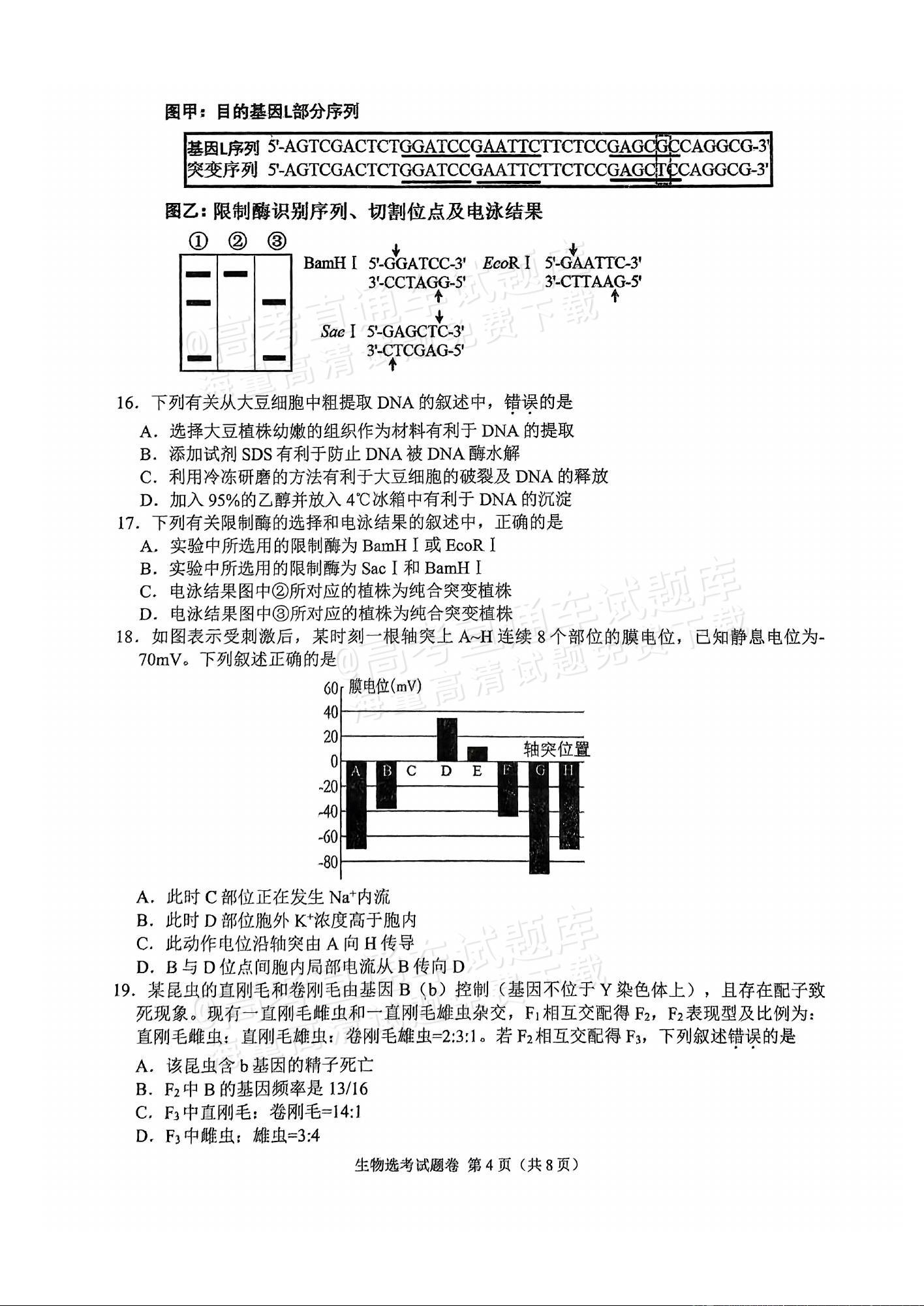 2025浙江稽阳联谊高三11月联考生物试题及参考答案 第4页