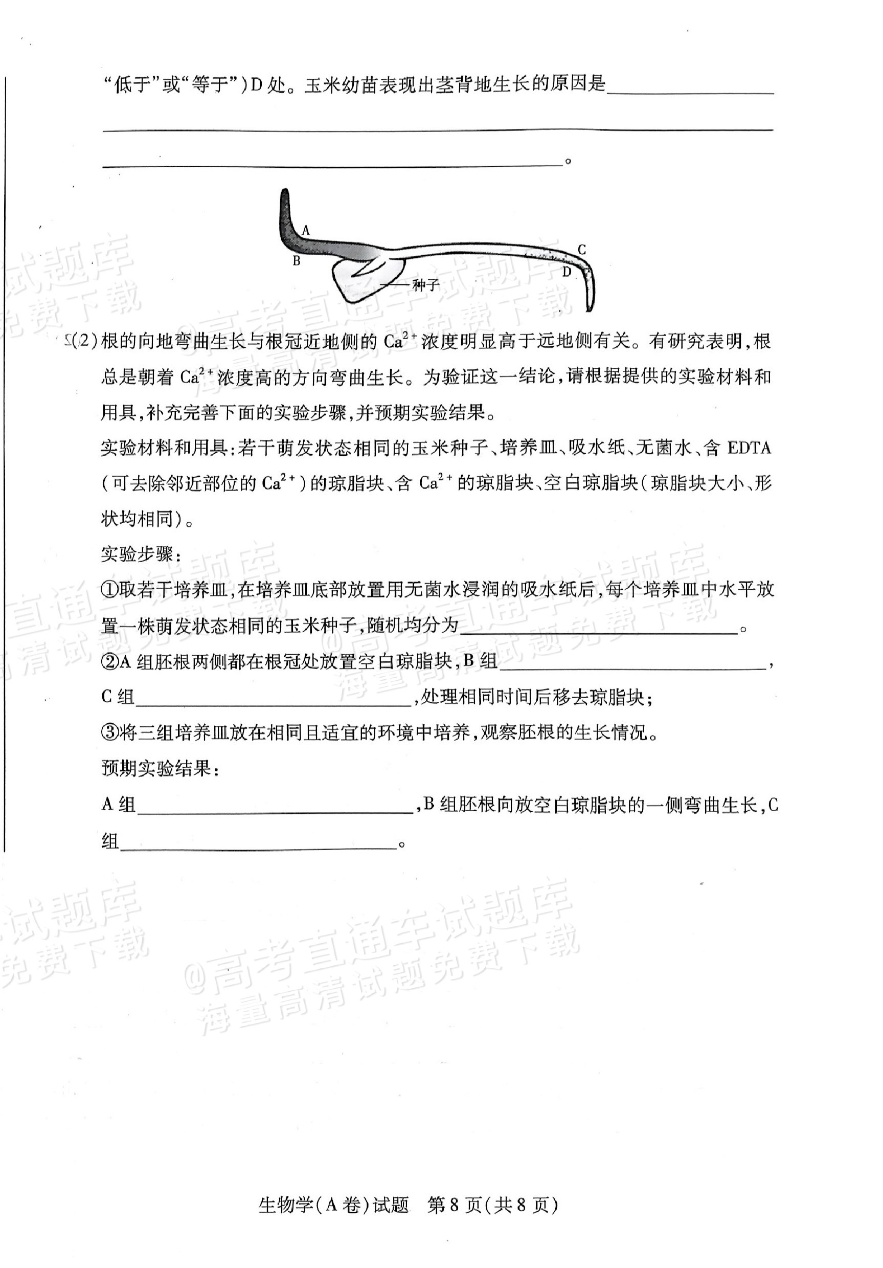 2025皖豫天一高二上学期期中大联考生物试题及参考答案 第8页