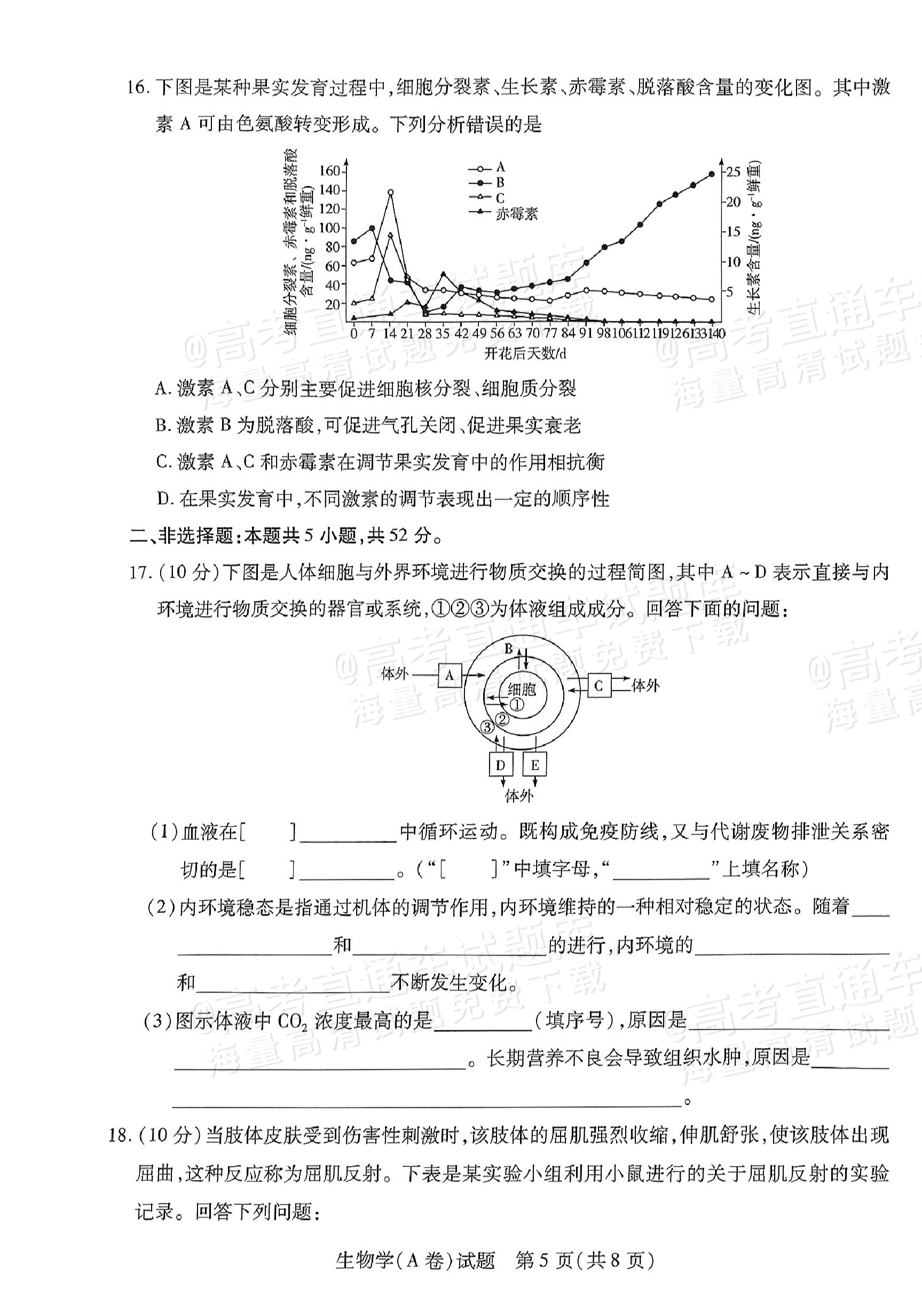 2025皖豫天一高二上学期期中大联考生物试题及参考答案 第5页