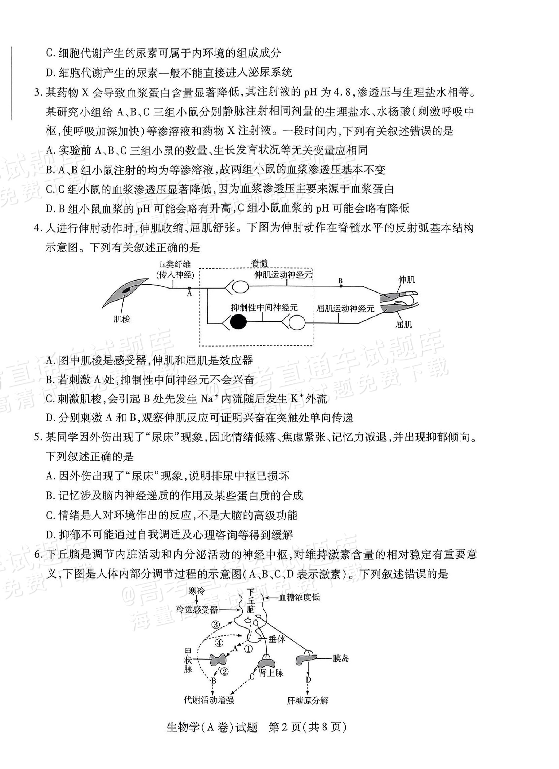 2025皖豫天一高二上学期期中大联考生物试题及参考答案 第2页