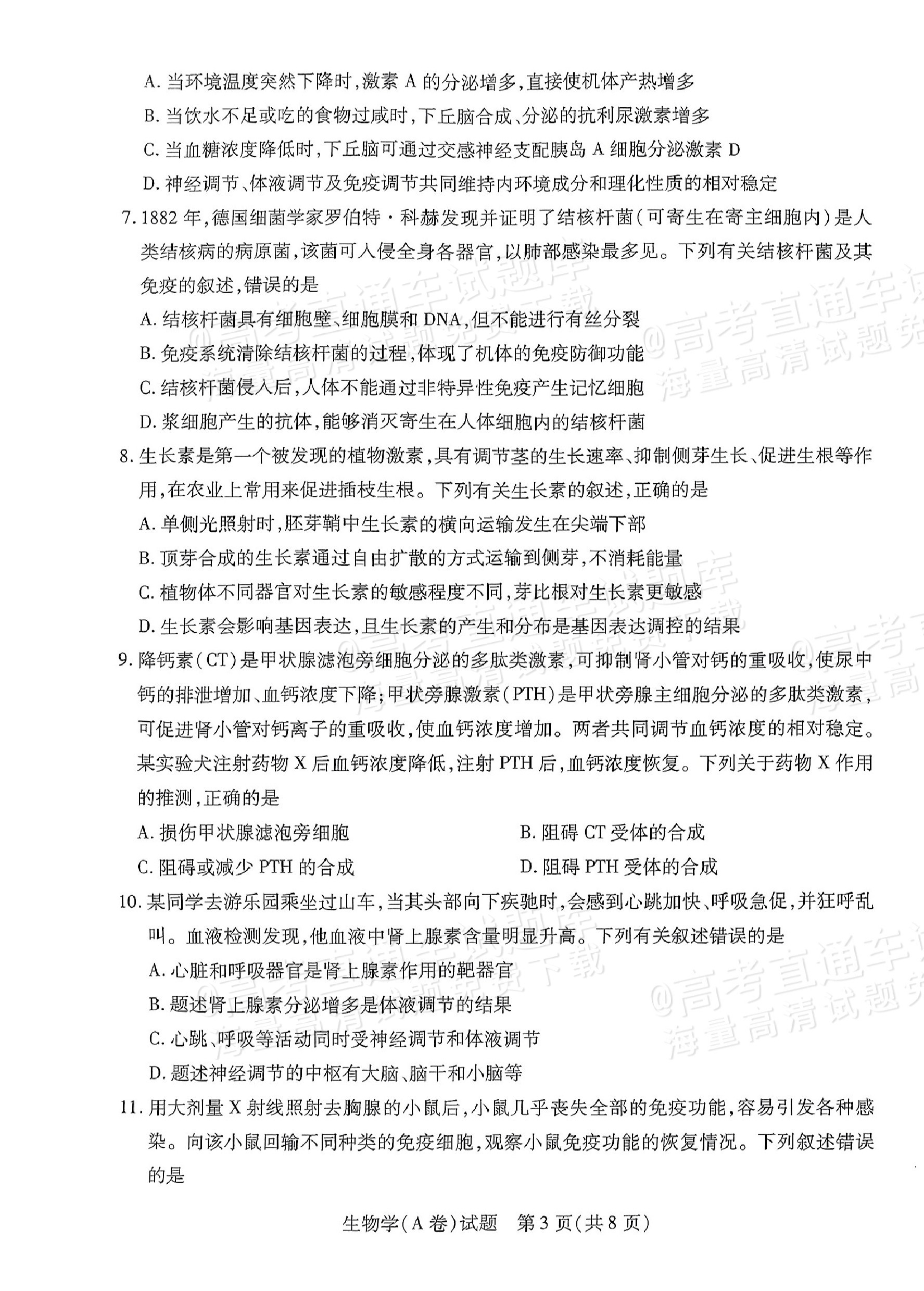 2025皖豫天一高二上学期期中大联考生物试题及参考答案 第3页
